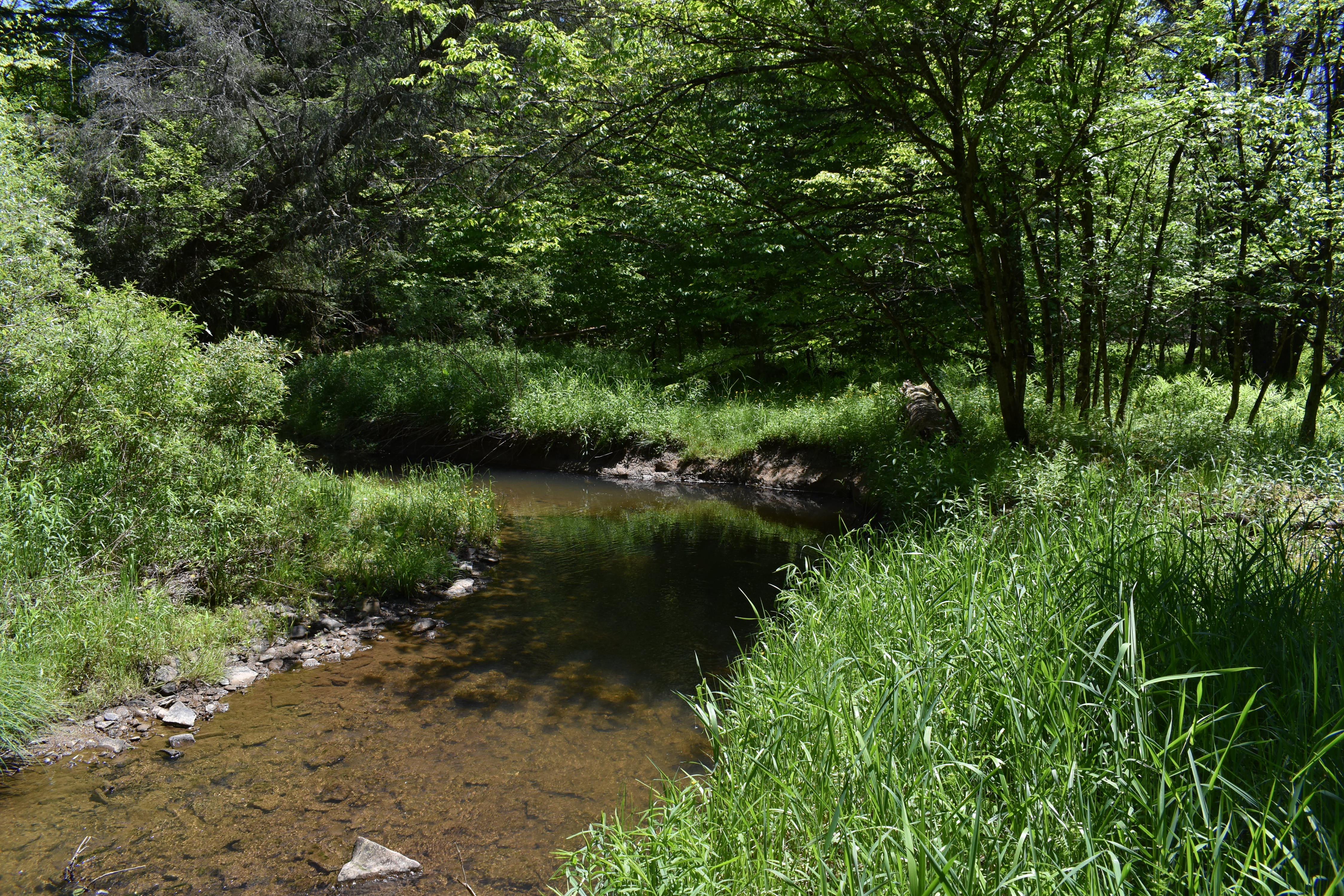 Listing Image 39