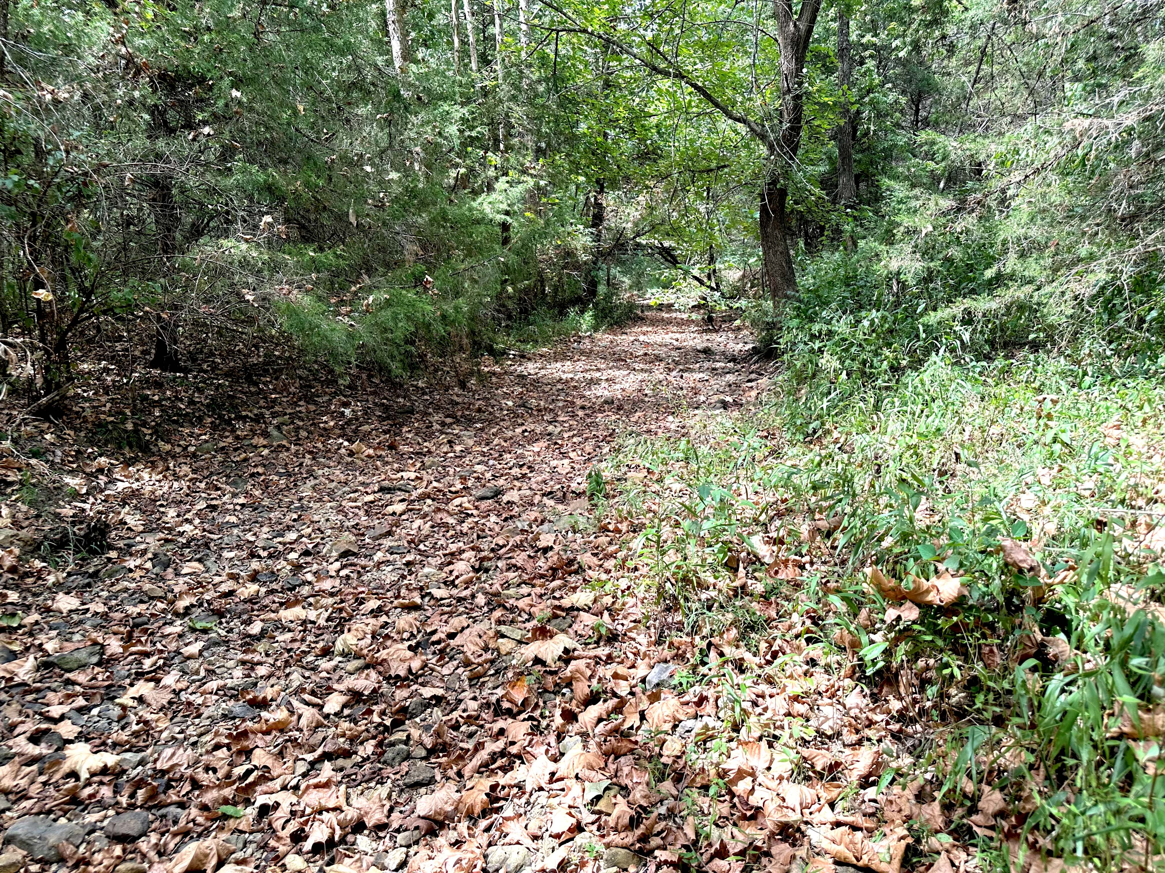 Hickory Hill Hollow