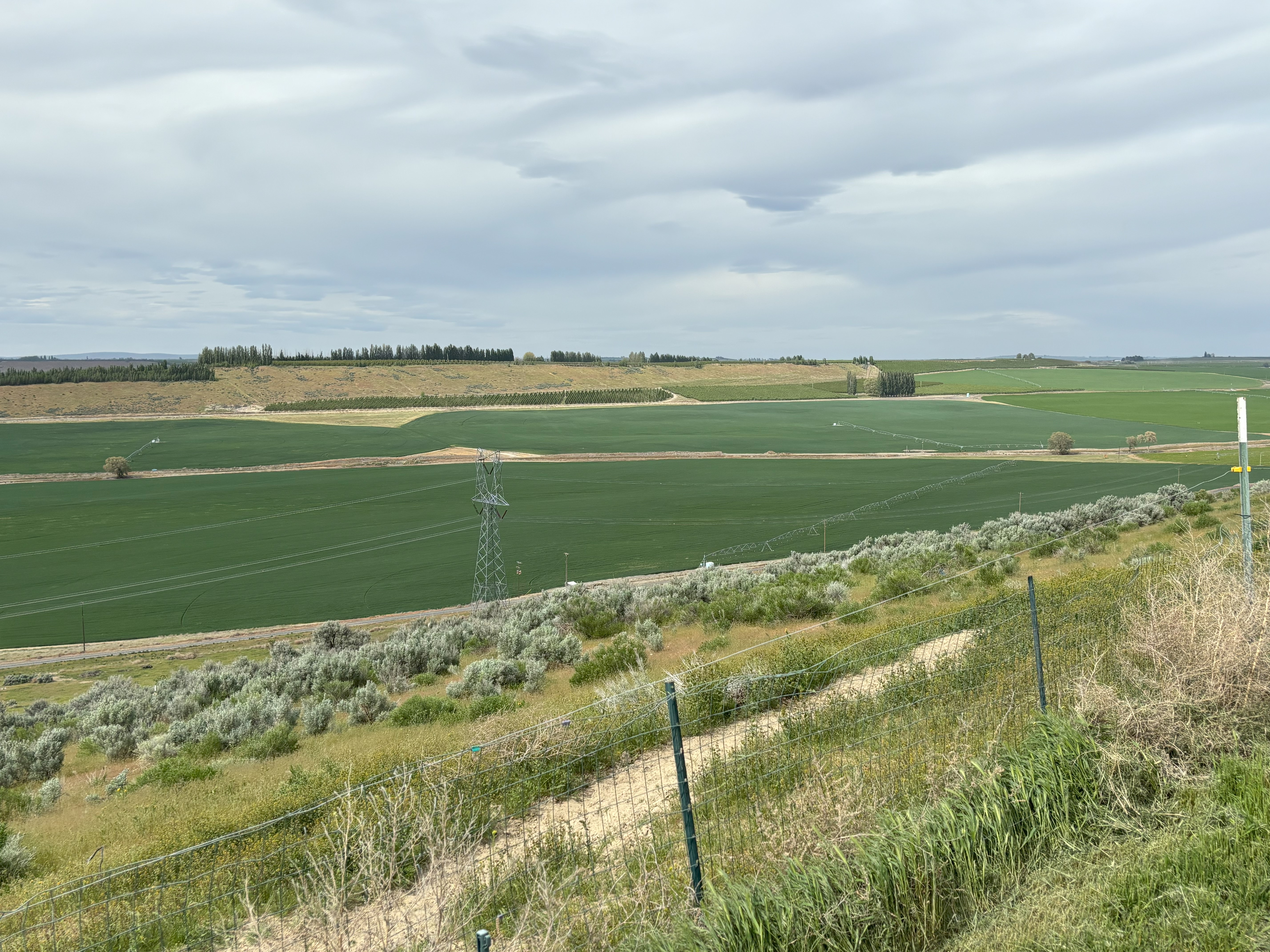 Panoramic Columbia River Views