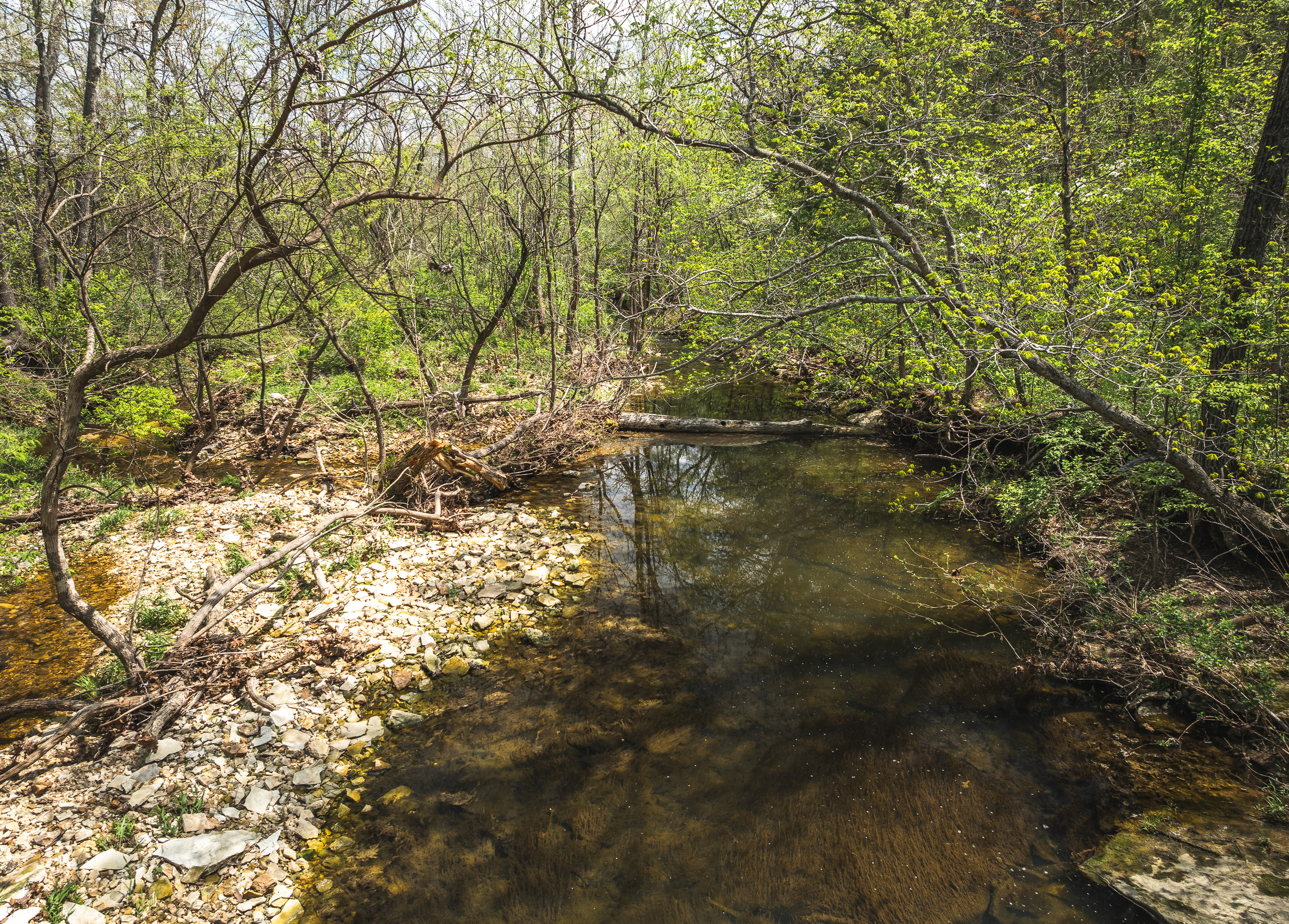 Hawkwood Trail