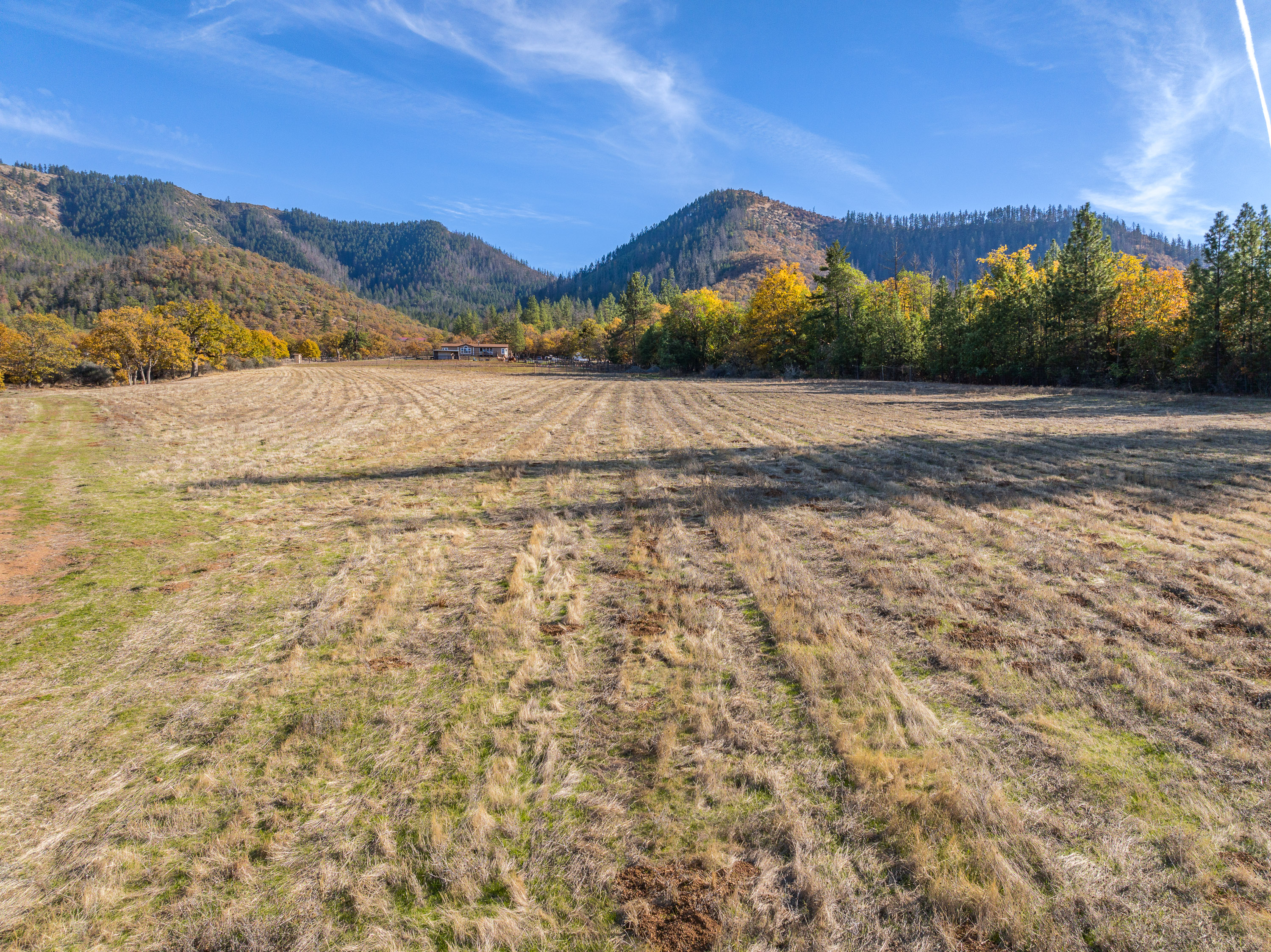 Listing Image 50
