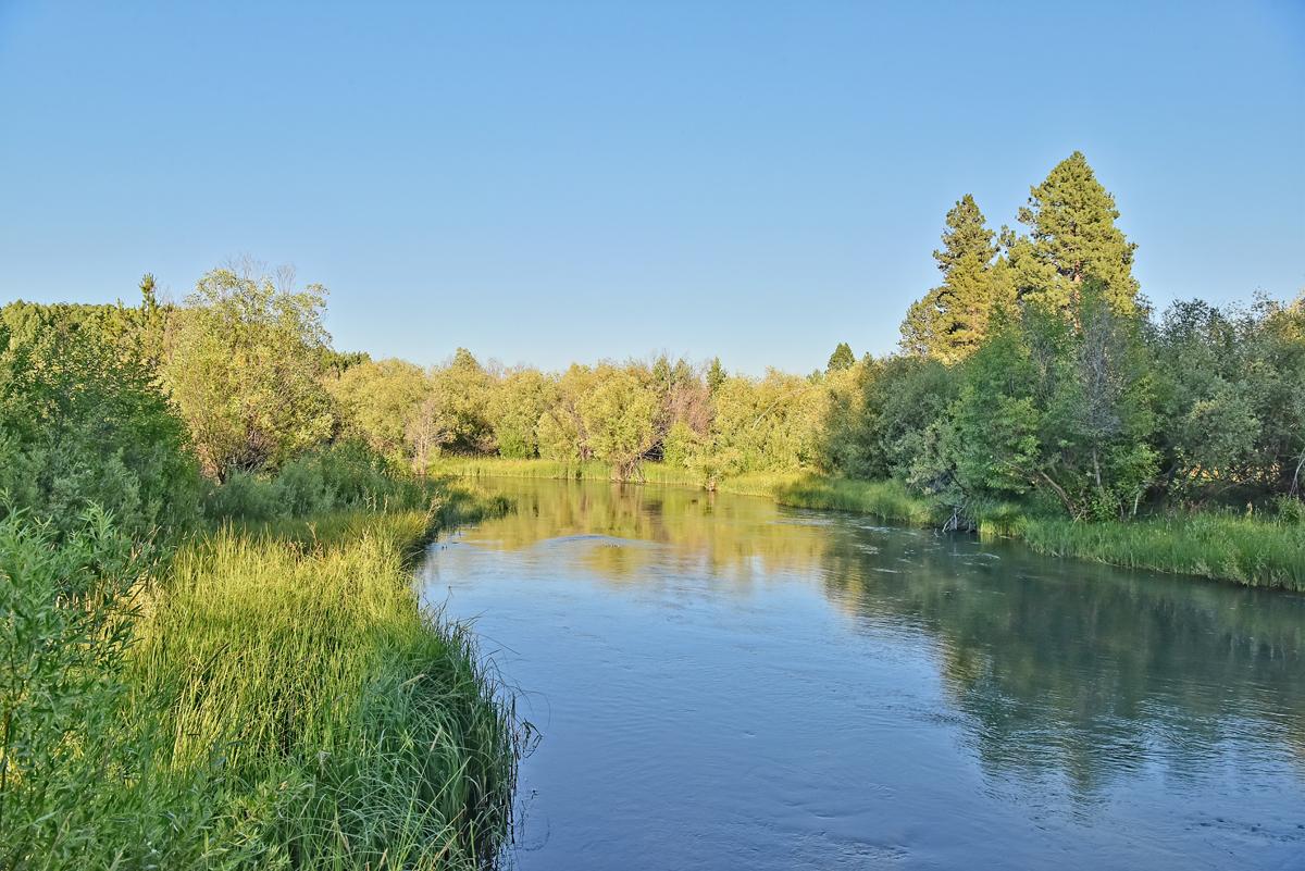Listing Image 54