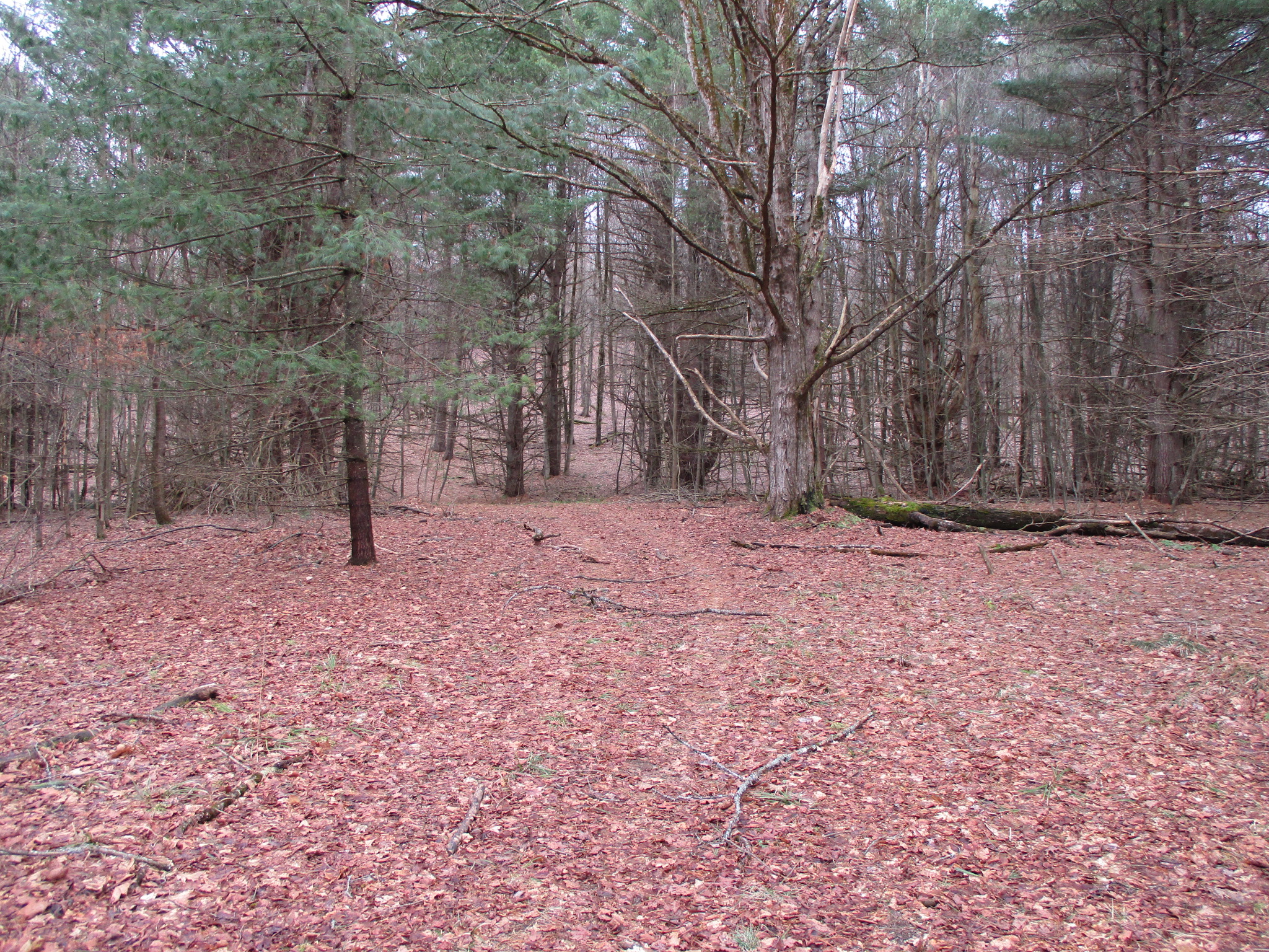 Listing Image 24