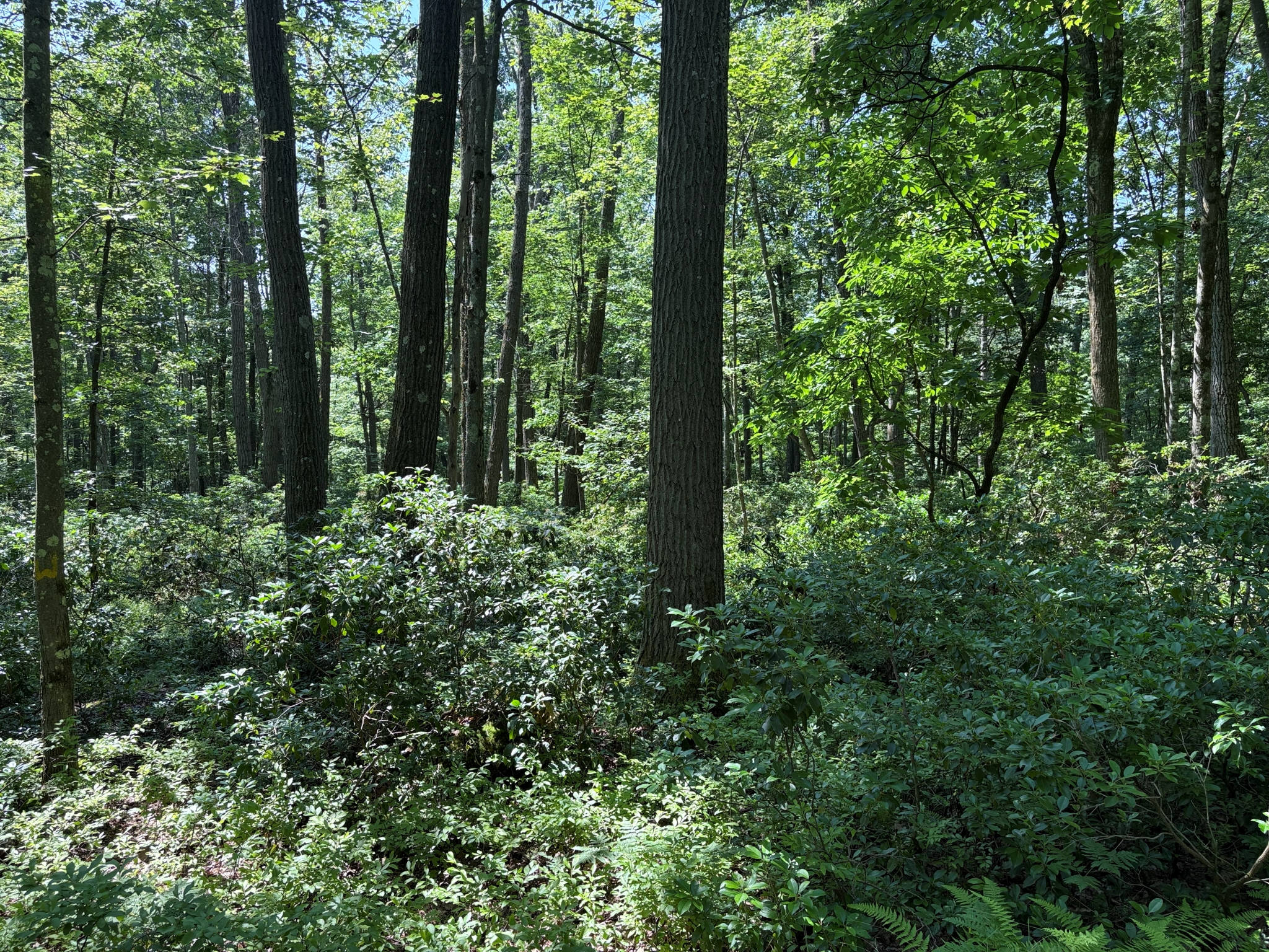 Listing Image 25