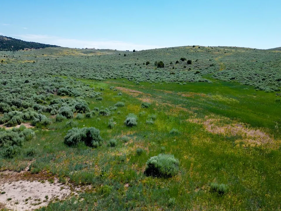 Maybell Grazing & Big Game Ranch