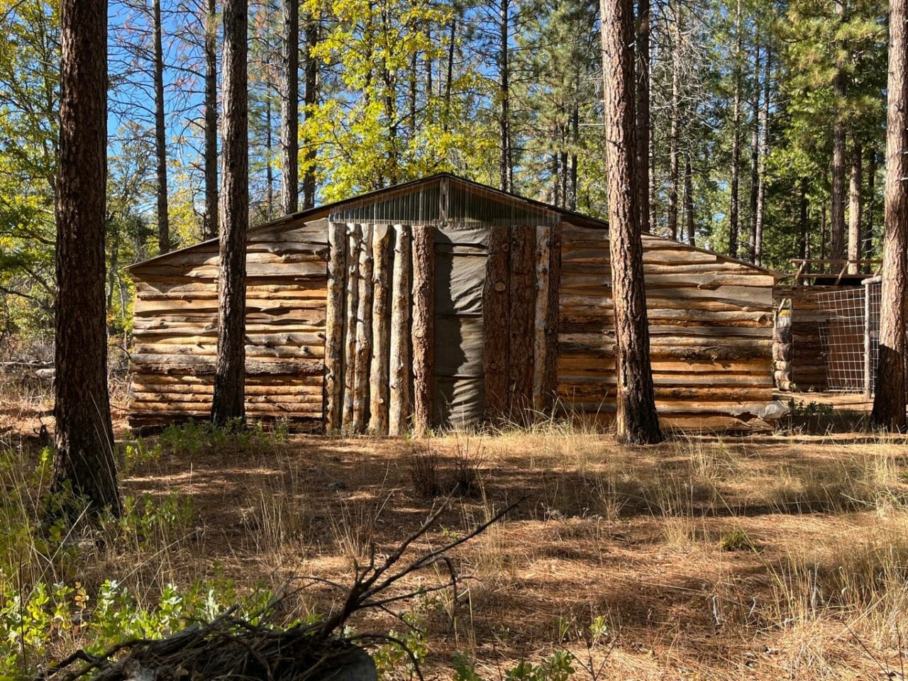 Listing Image 5