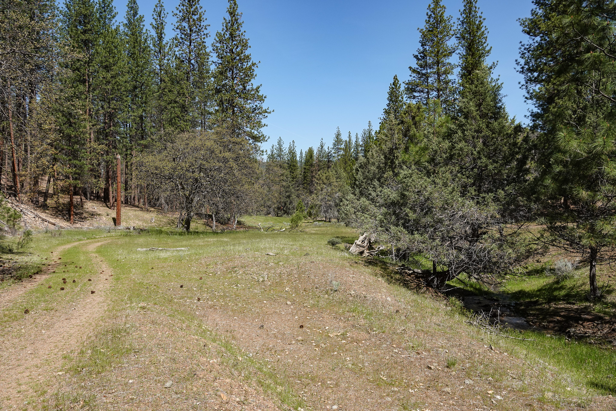 Scarface Acreage