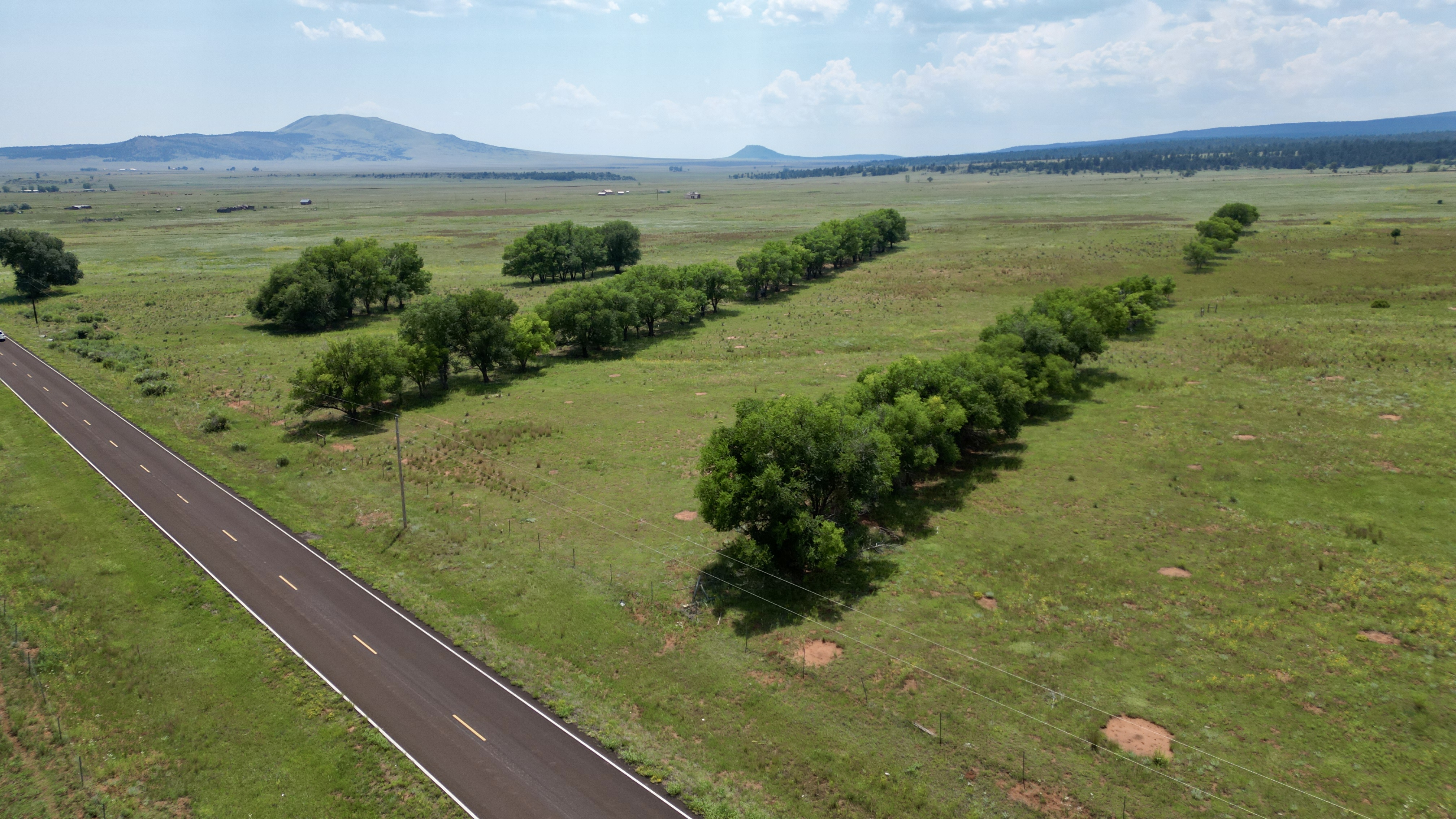 OLC Ranch