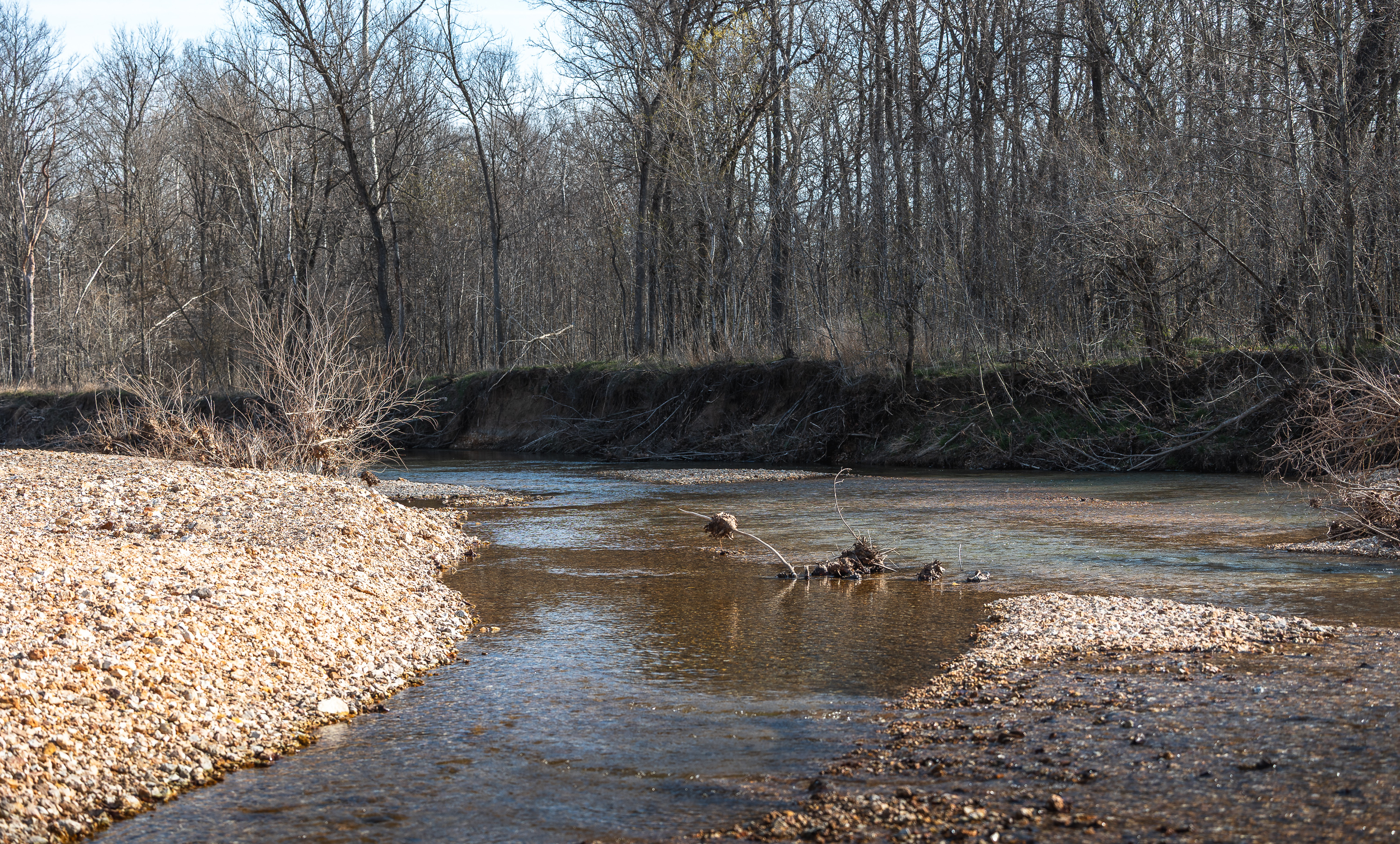 Listing Image 71