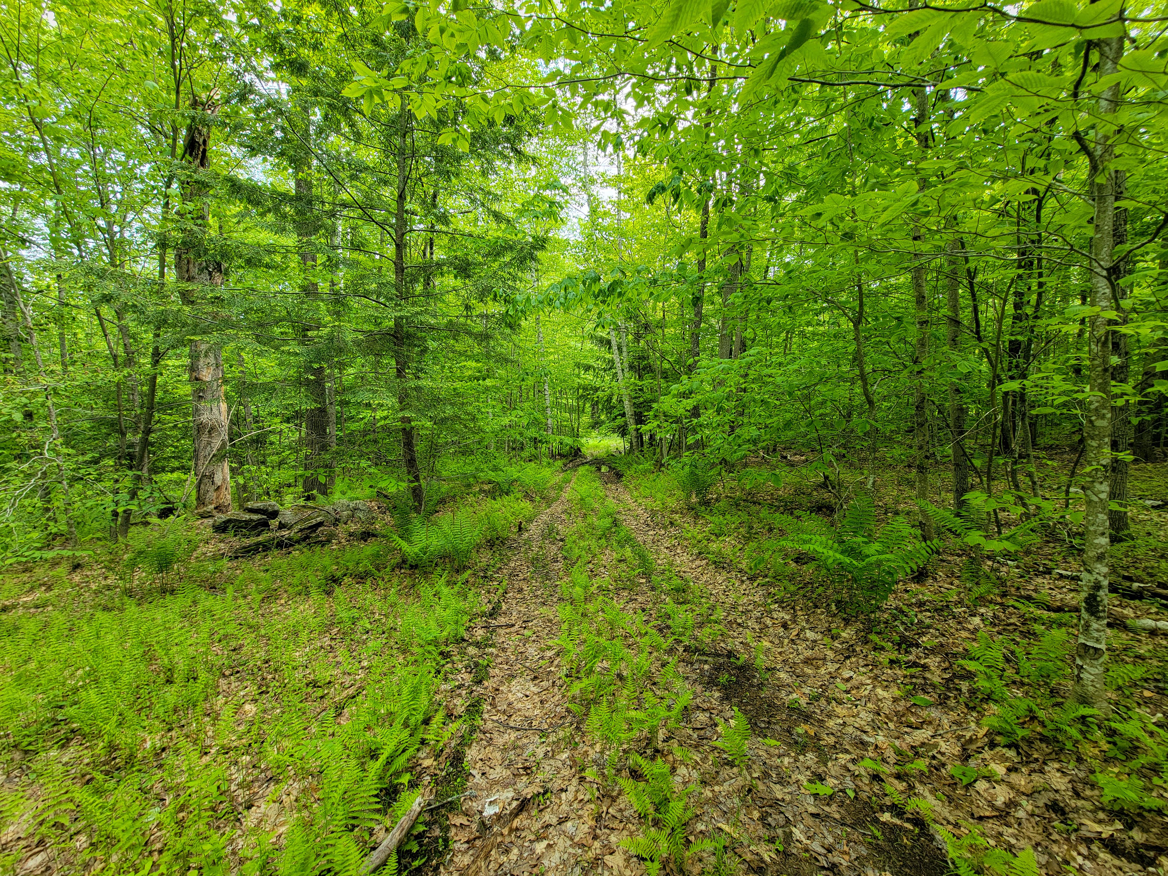 184 Schoolhouse Rd Jamaica