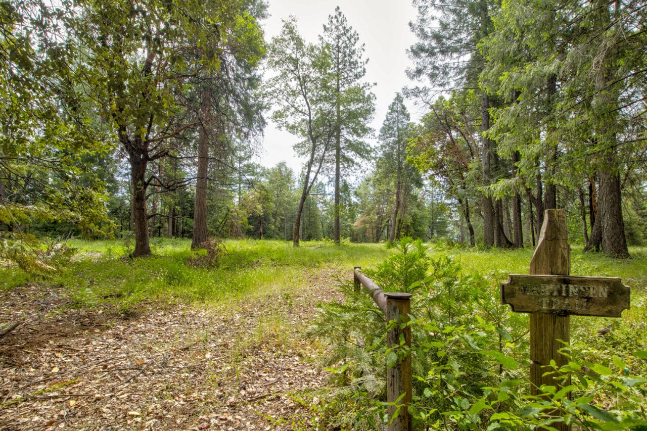 Foresthill Divide