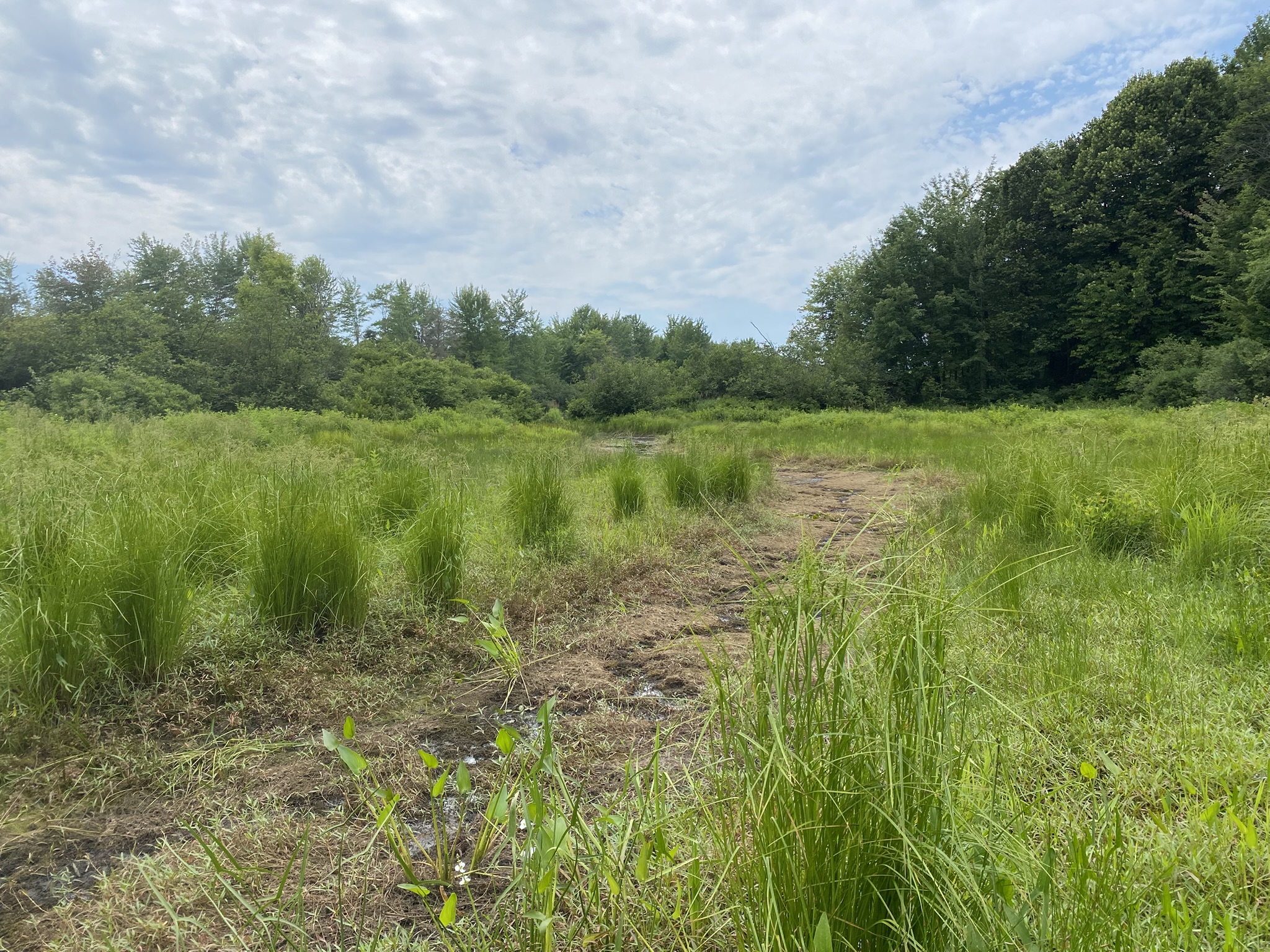 Listing Image 79