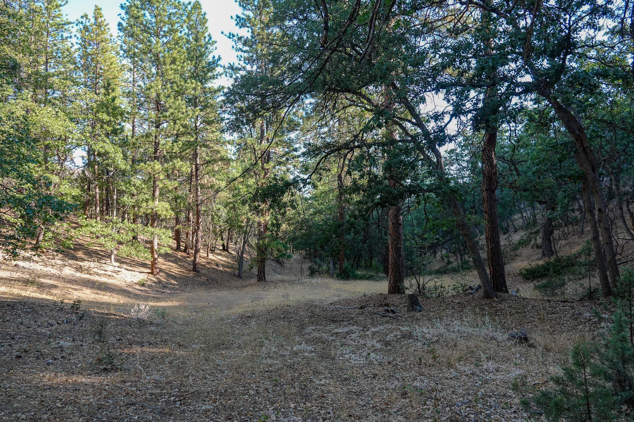 East Road Ragland Gulch Acreage