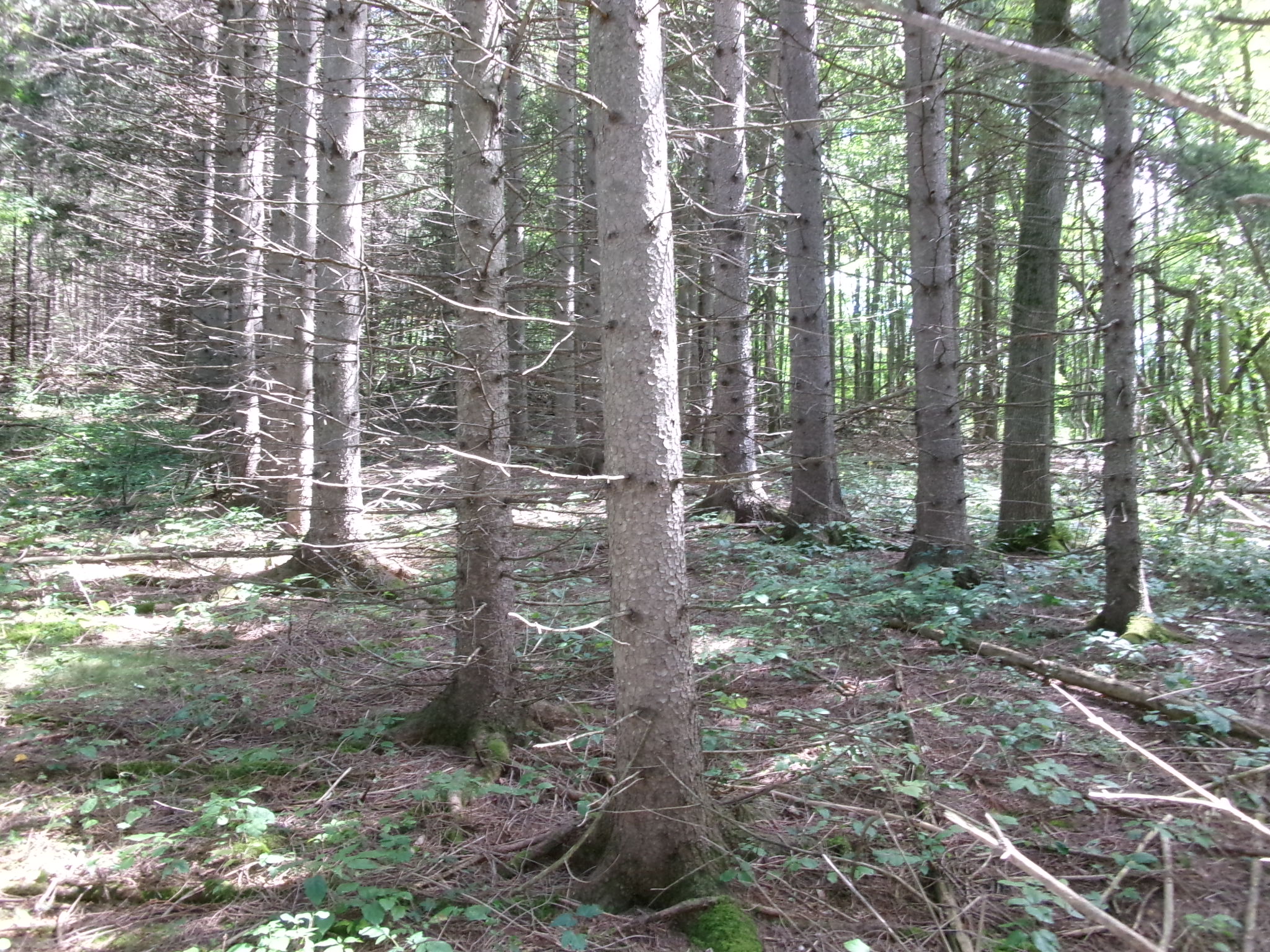 Listing Image 22