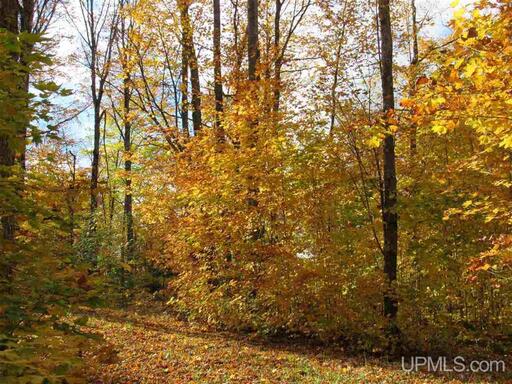 Michigan Private Lake Lot  50178194