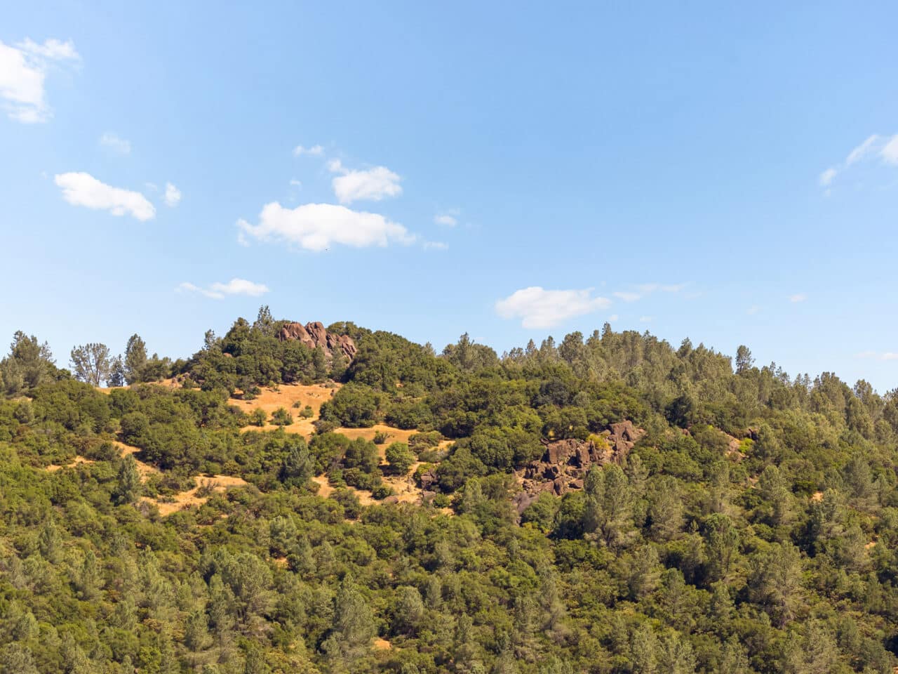 Listing Image 63