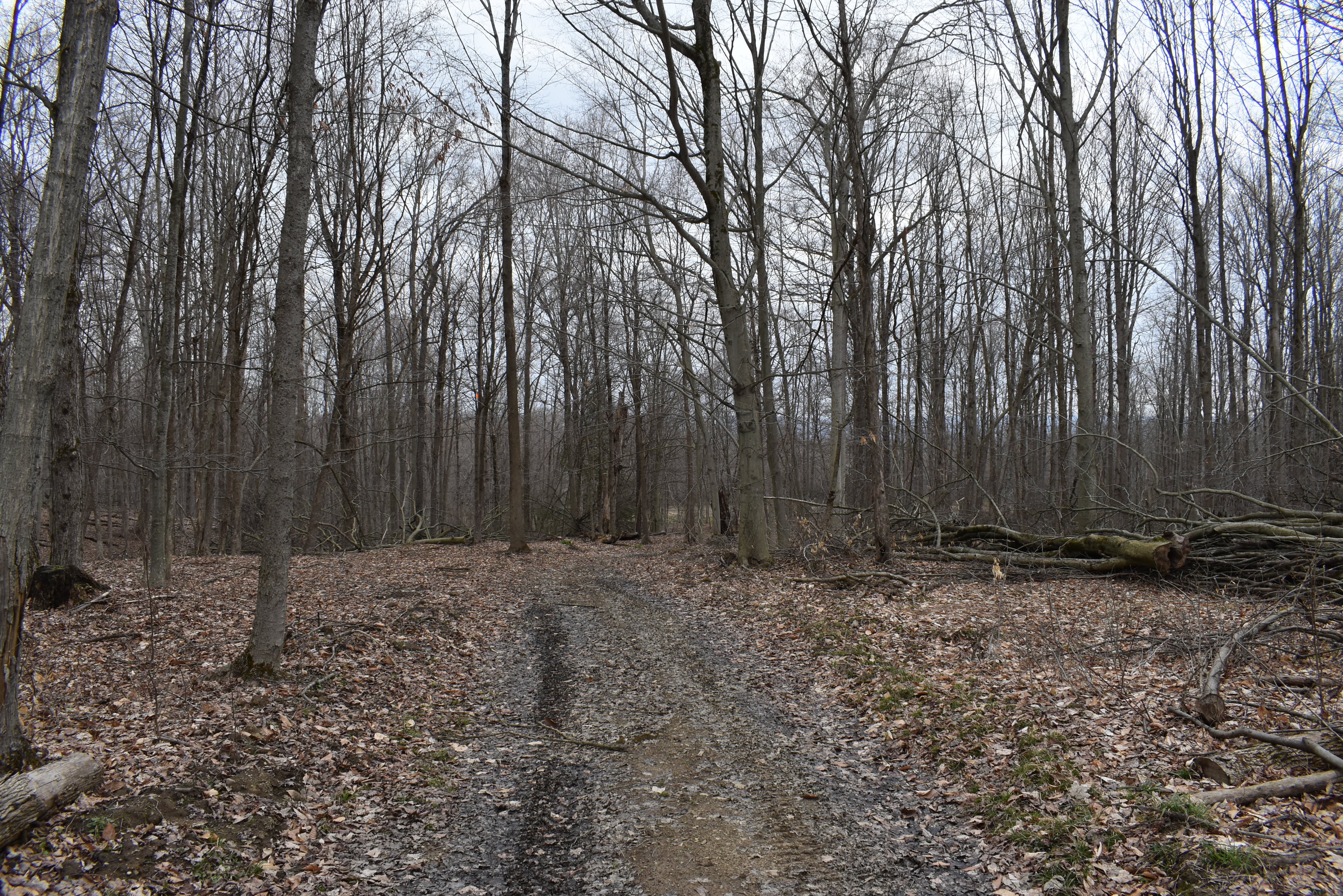 Hammond Hill Hideaway