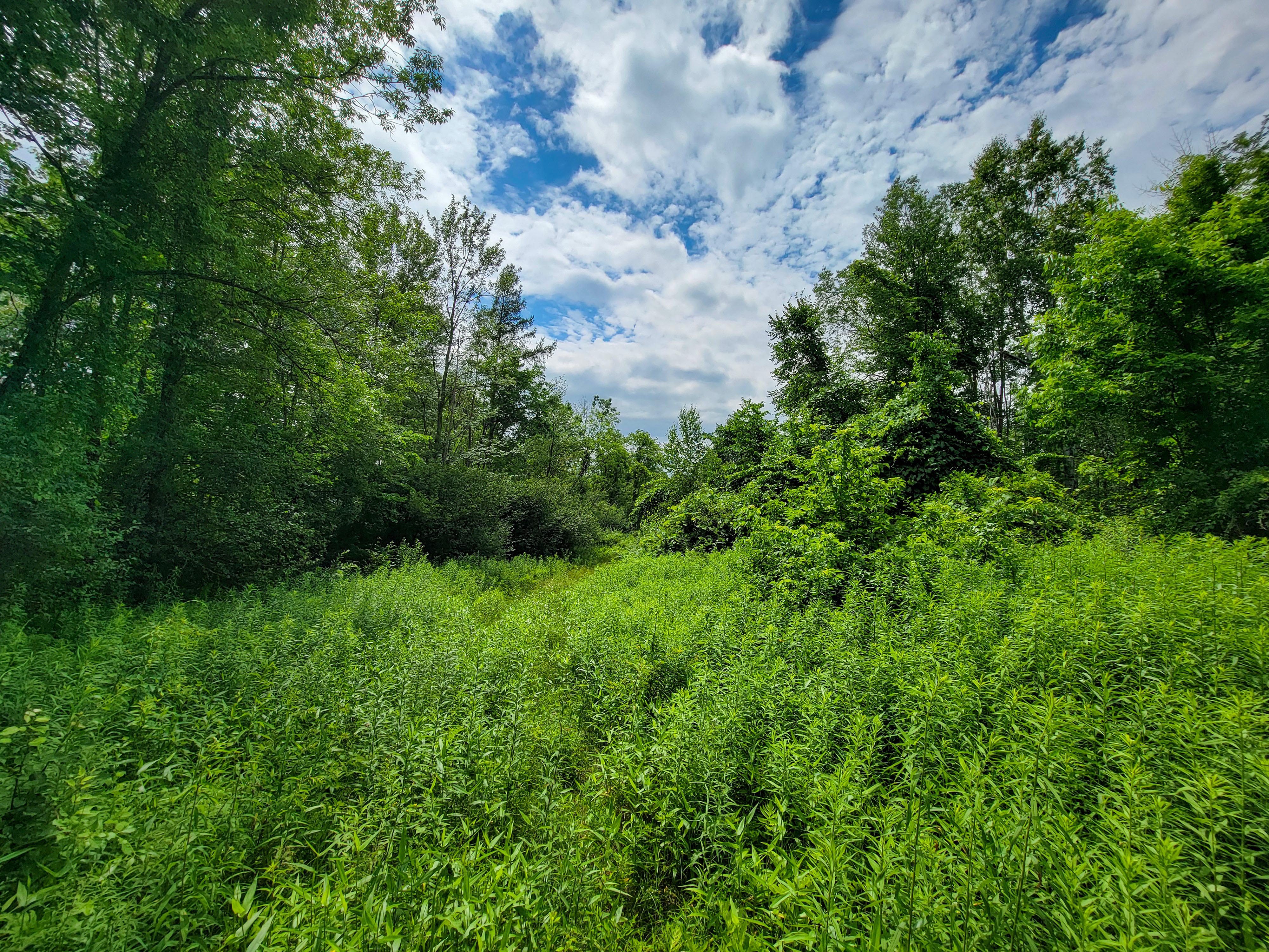 1073 Chapel Rd - Bennington