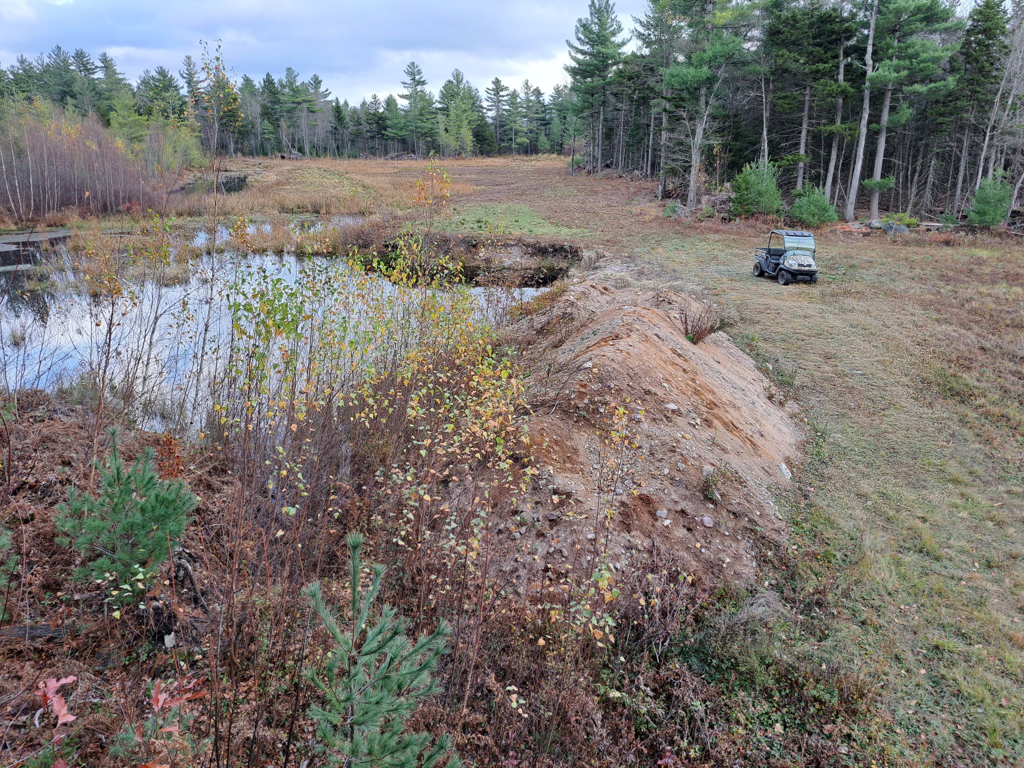 Listing Image 39