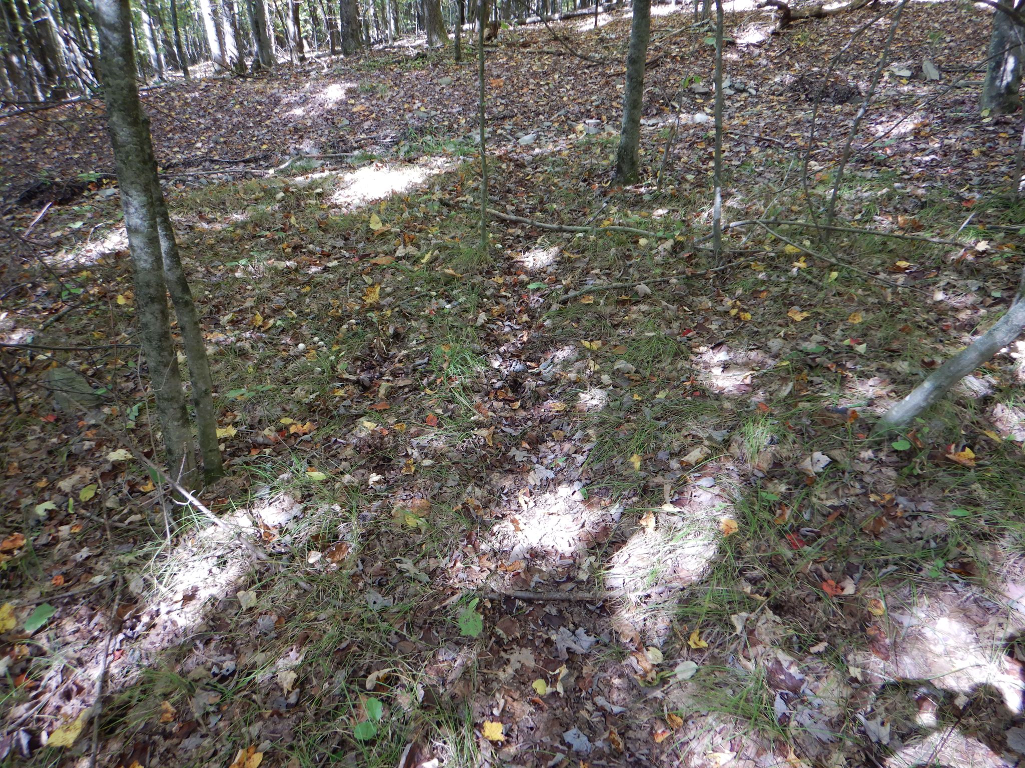 Listing Image 37