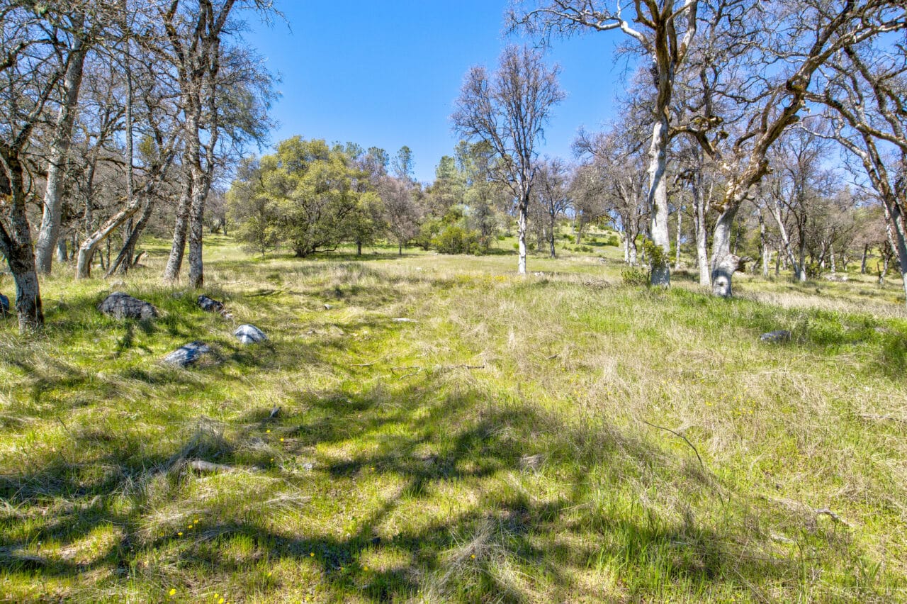 Oakridge Estate