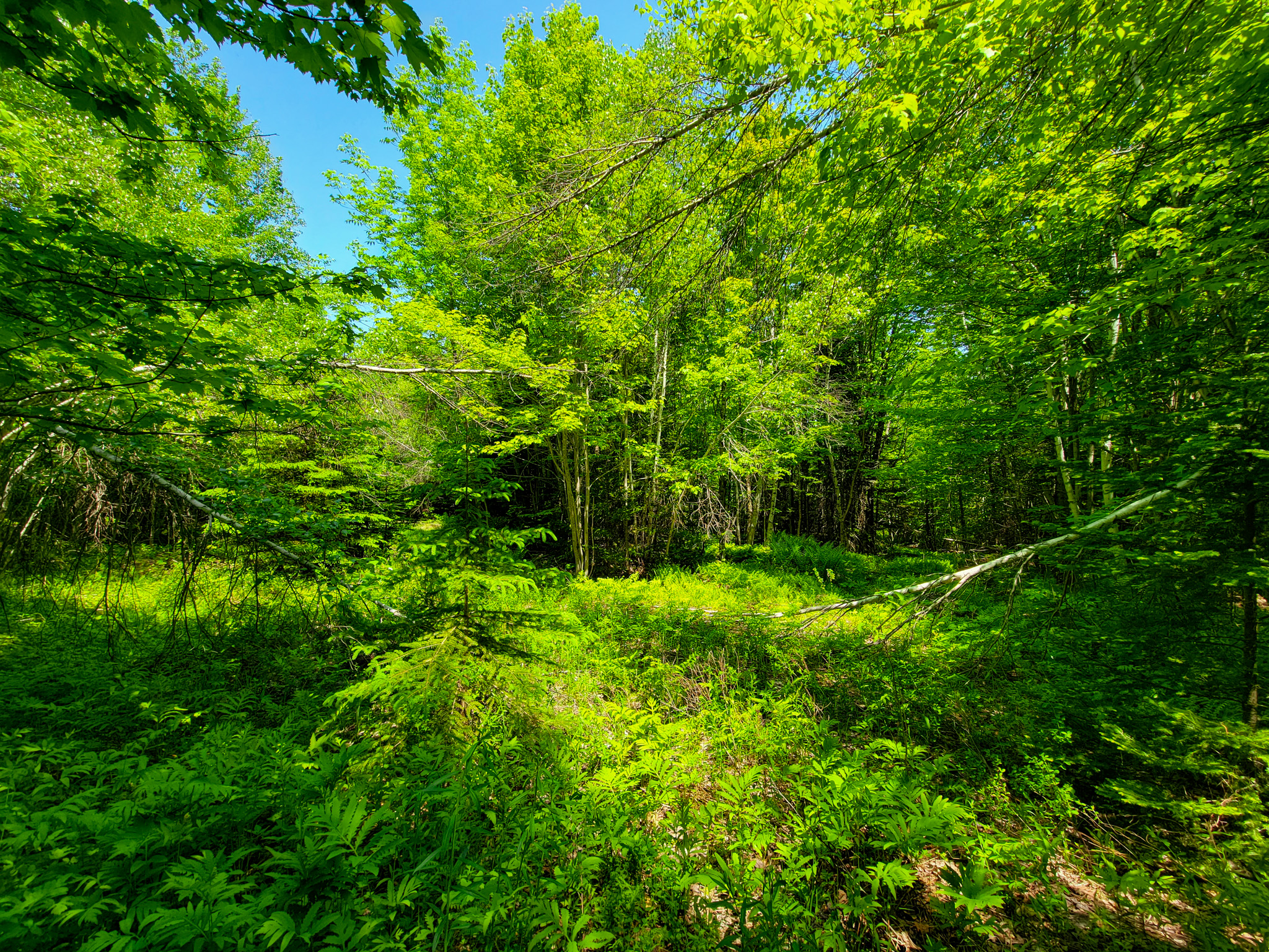 280 Gorham Hill Road - Gorham, NH