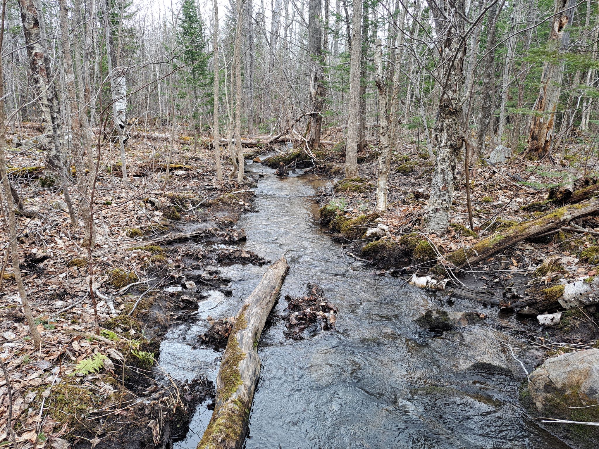 Listing Image 56
