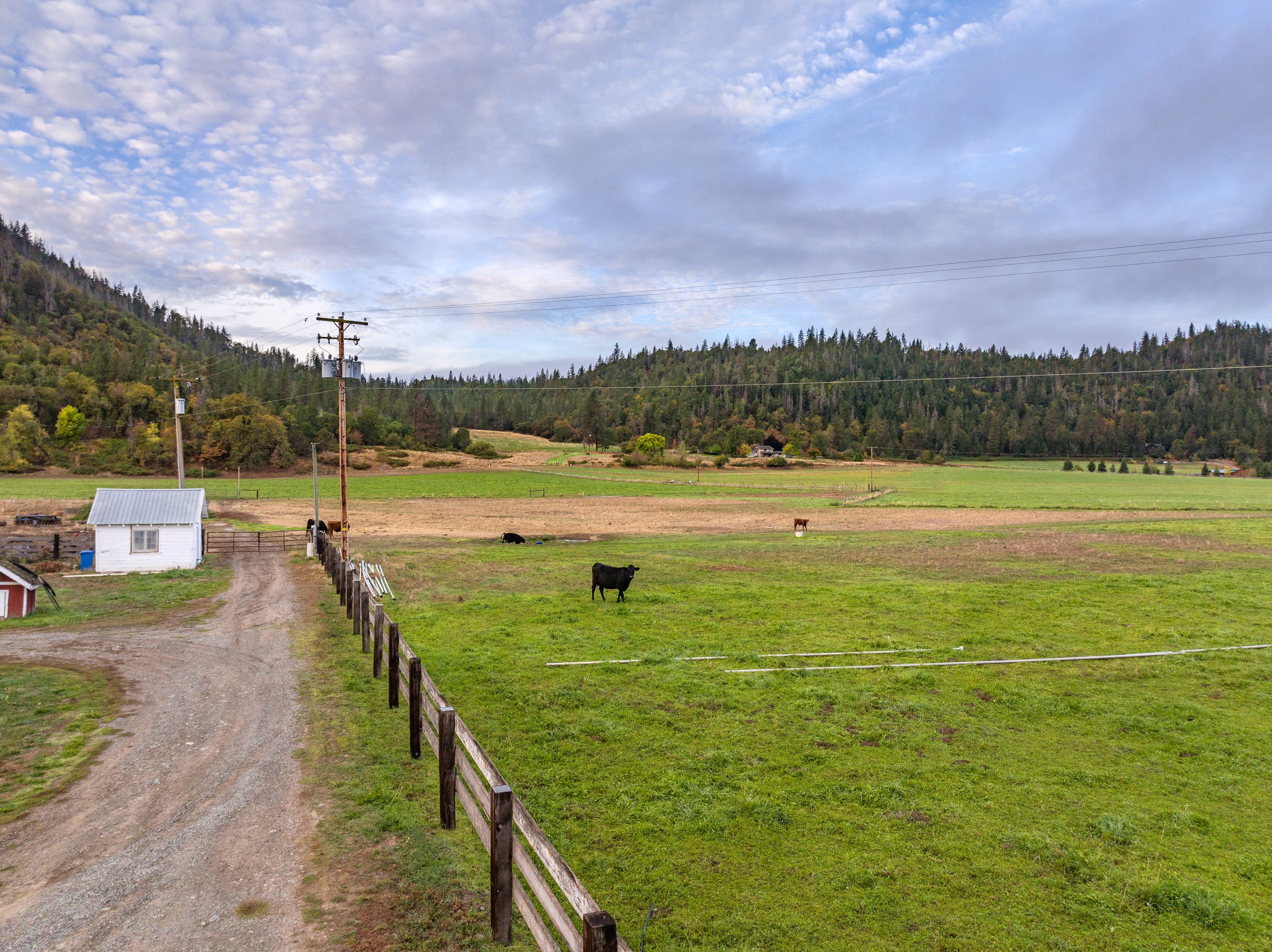 Listing Image 41