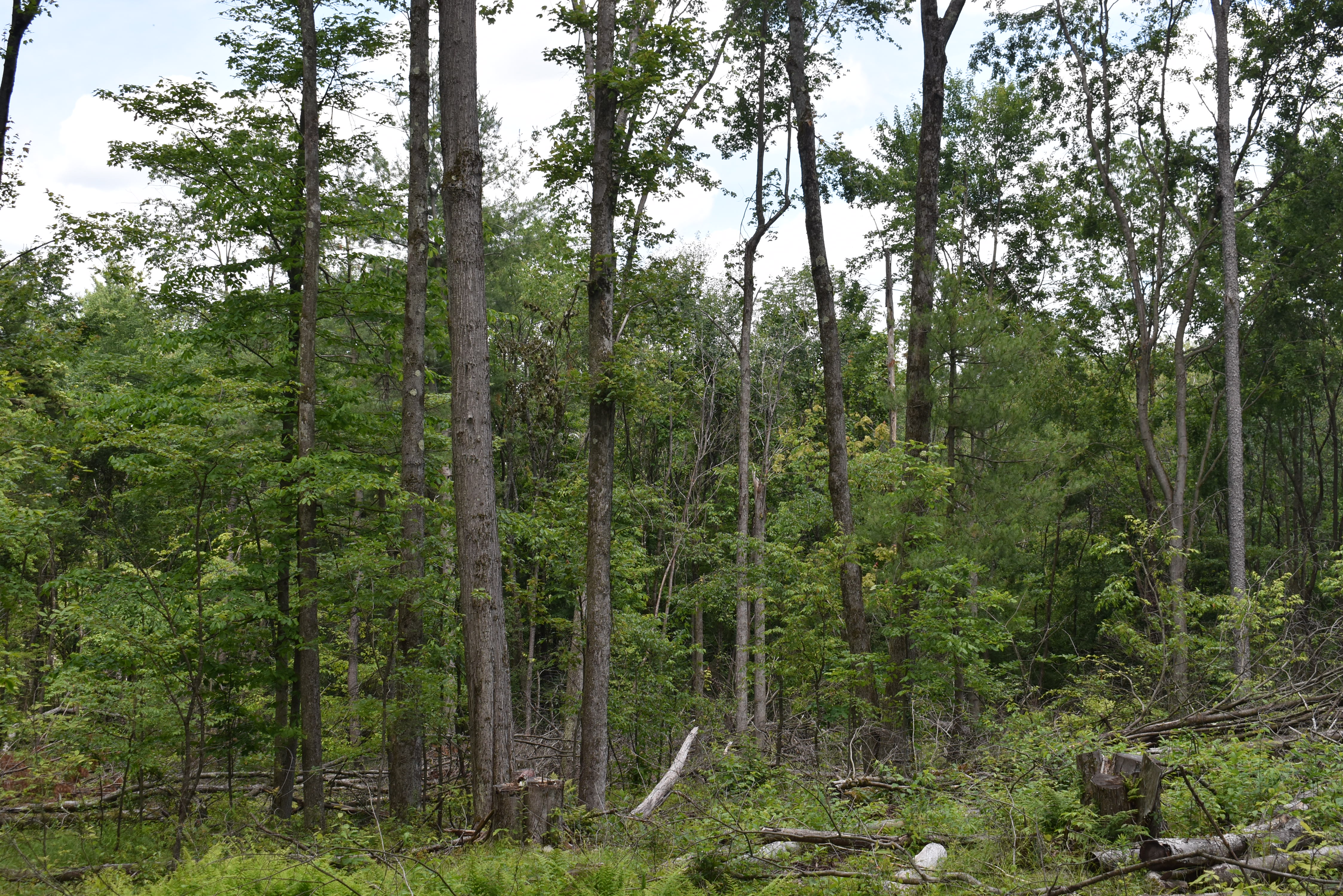 Listing Image 24