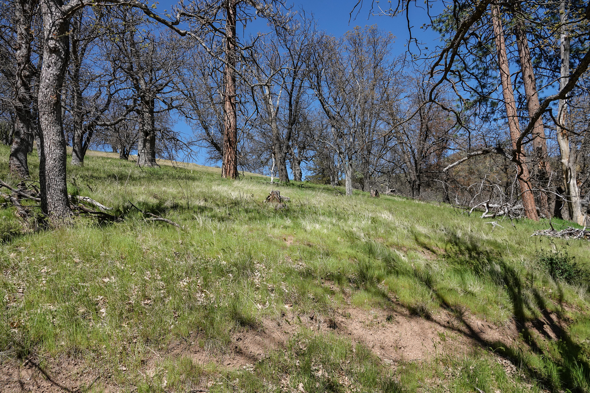 Kraus and Sons Ranch