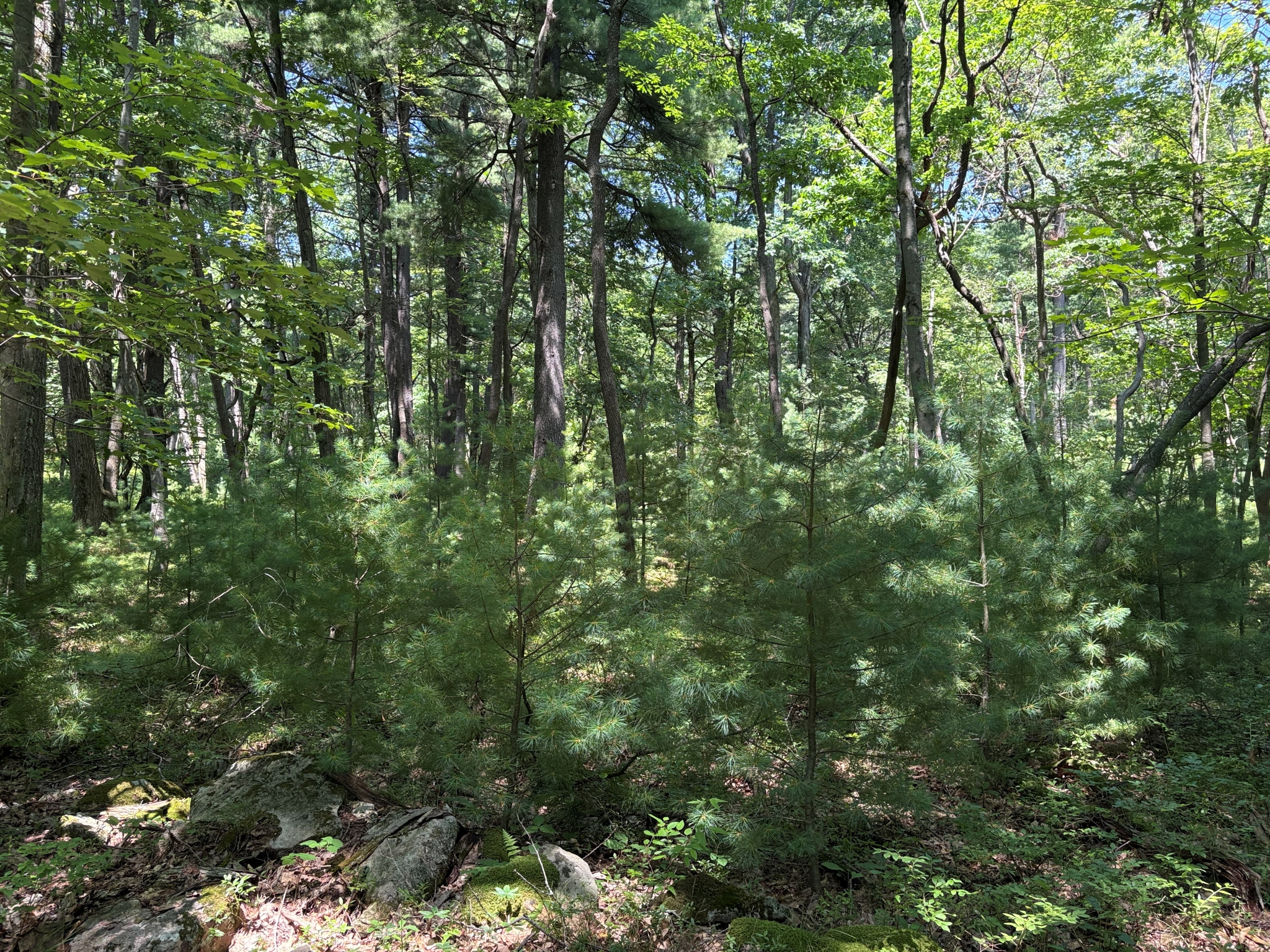 Listing Image 34
