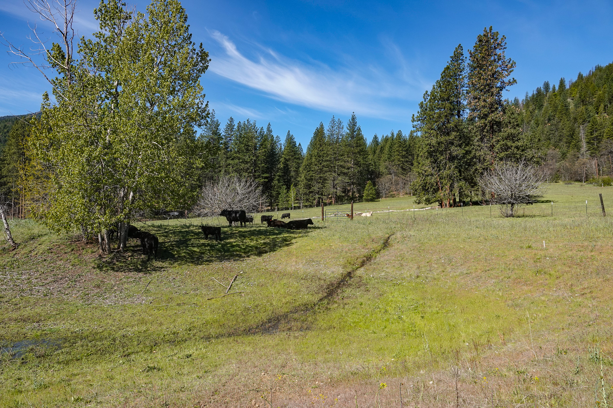 Listing Image 46