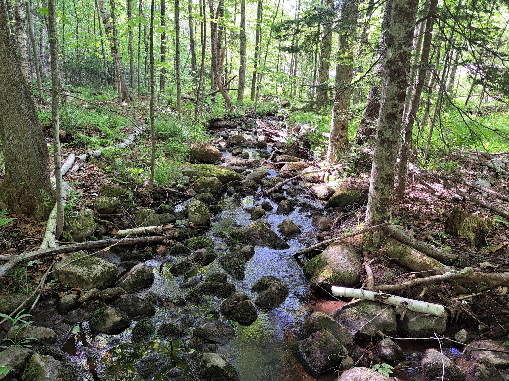Listing Image 78