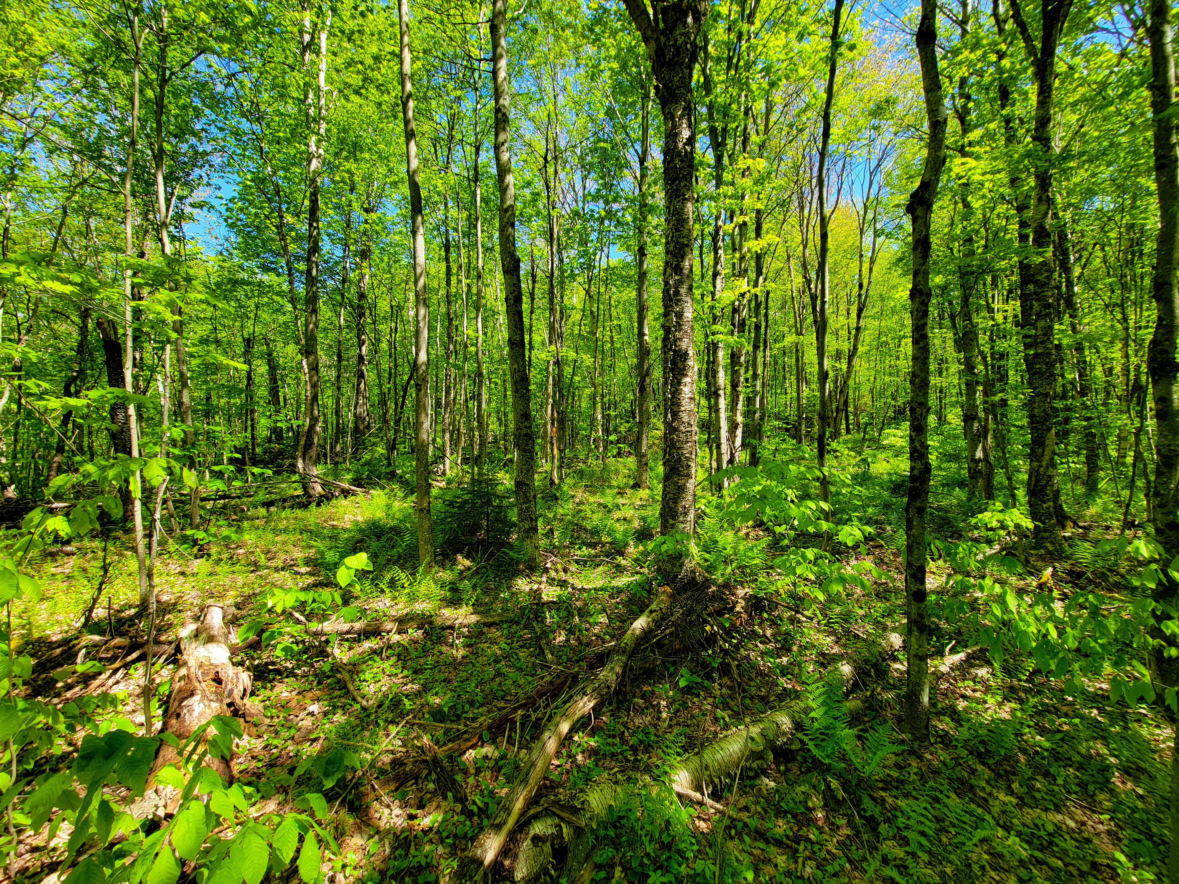 925 Hathaway Rd - Goshen
