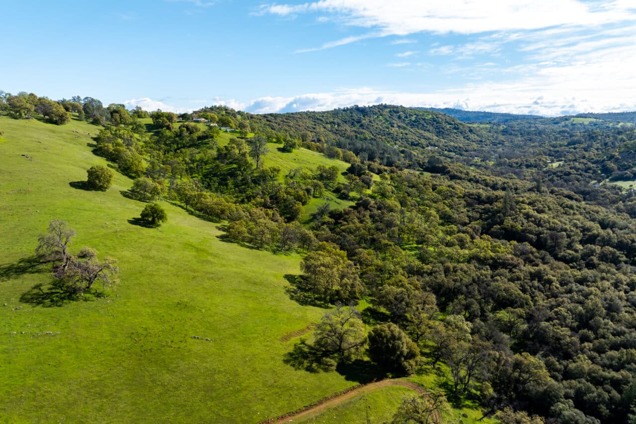 Hyatt Ranch