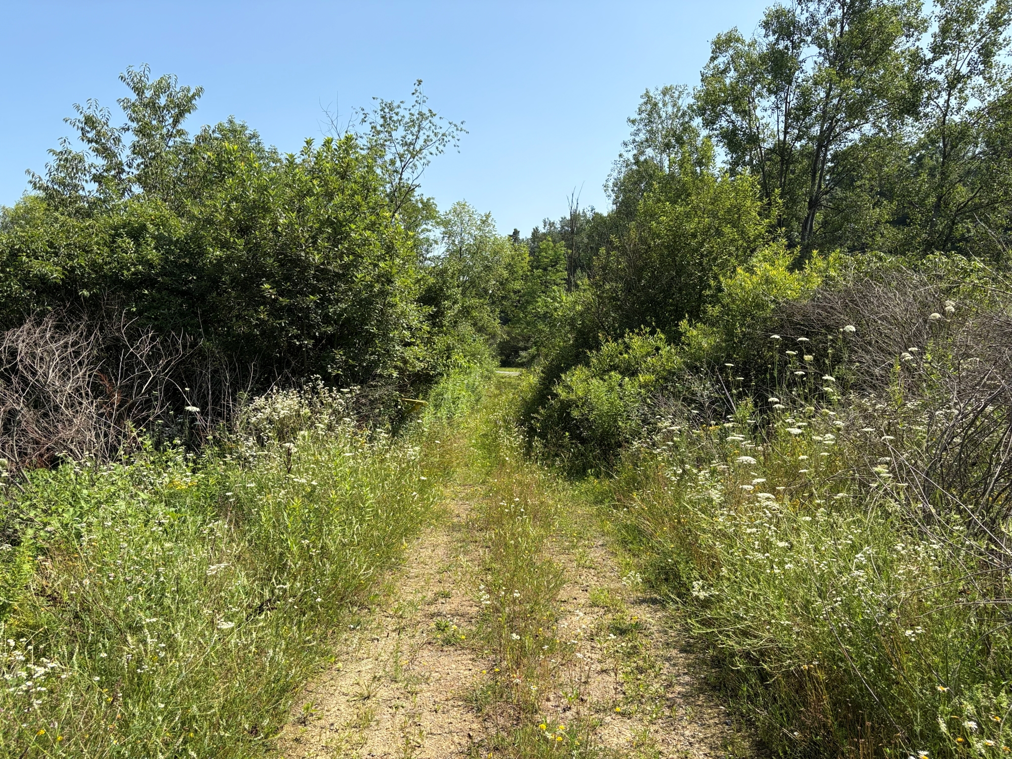 Listing Image 34