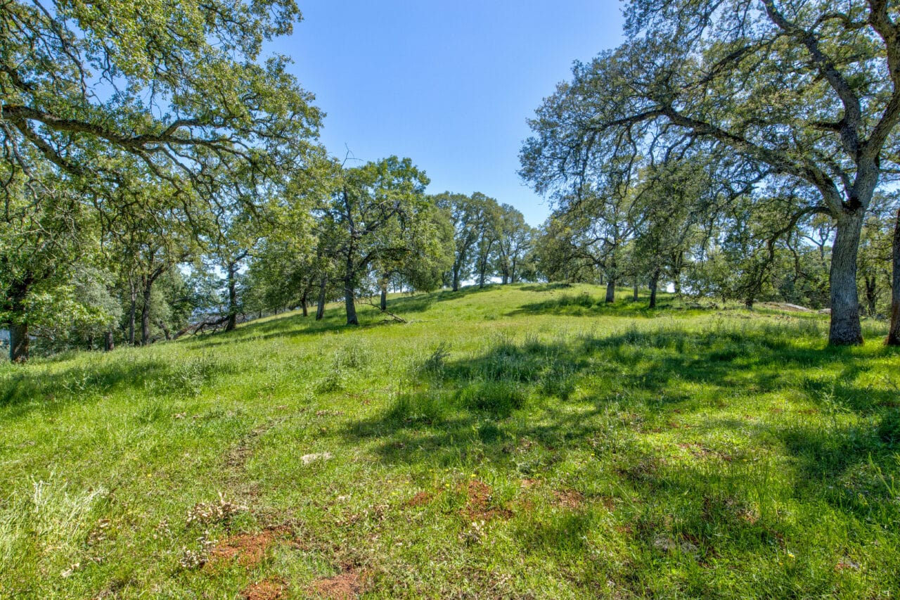 Listing Image 86