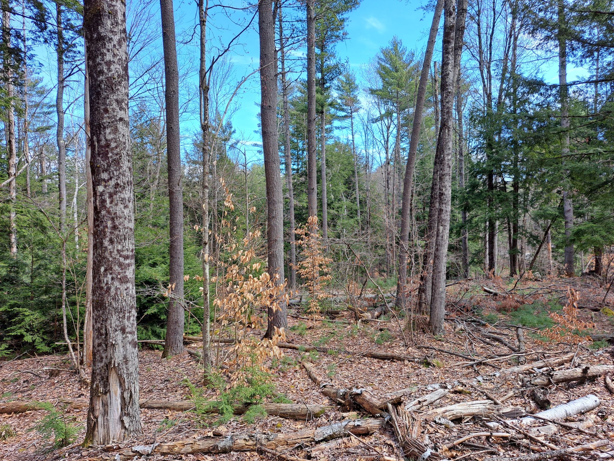Listing Image 45
