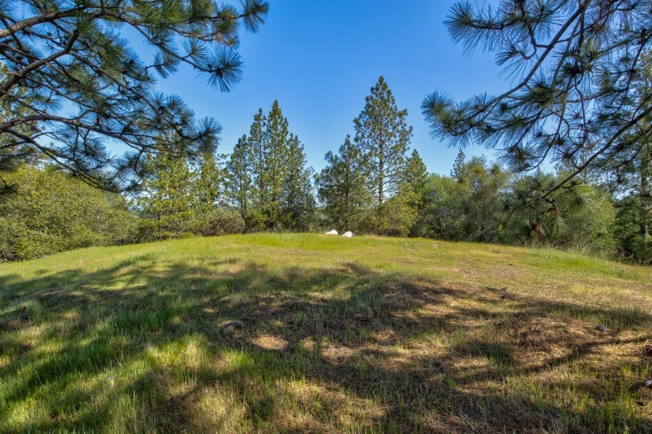 Trembath Mountain Vista