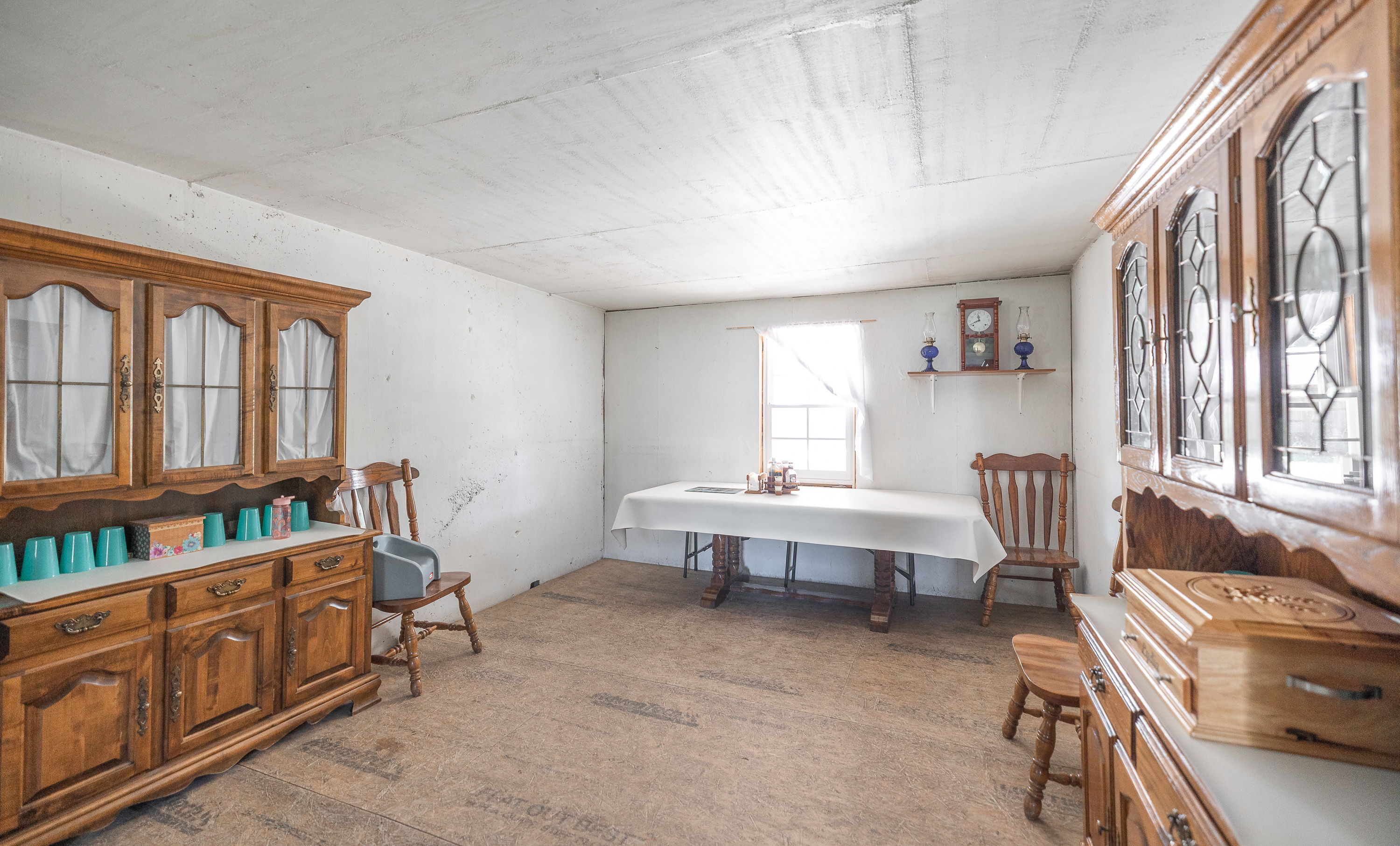 Cage Free Chicken Farm