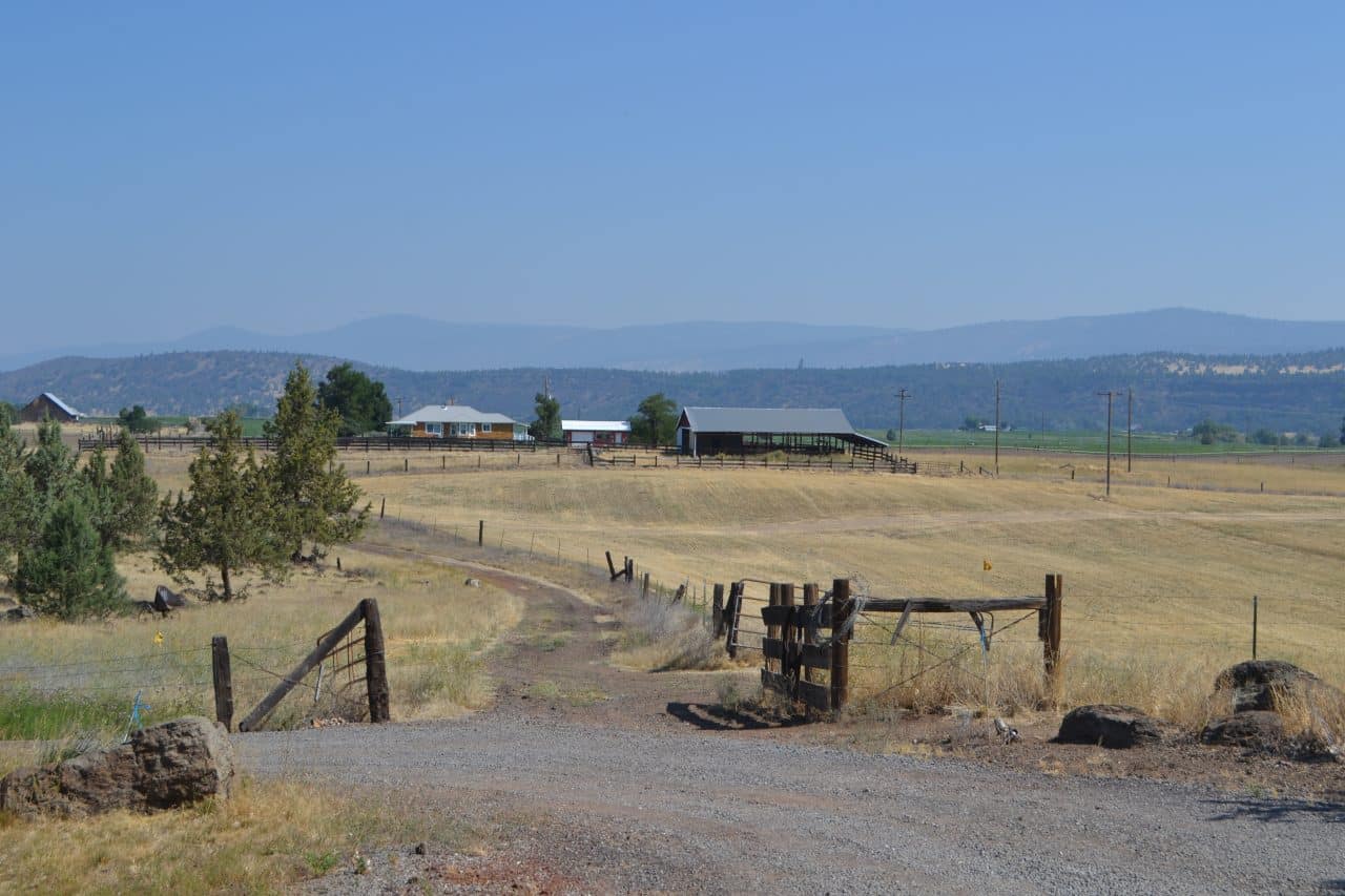 Listing Image 42