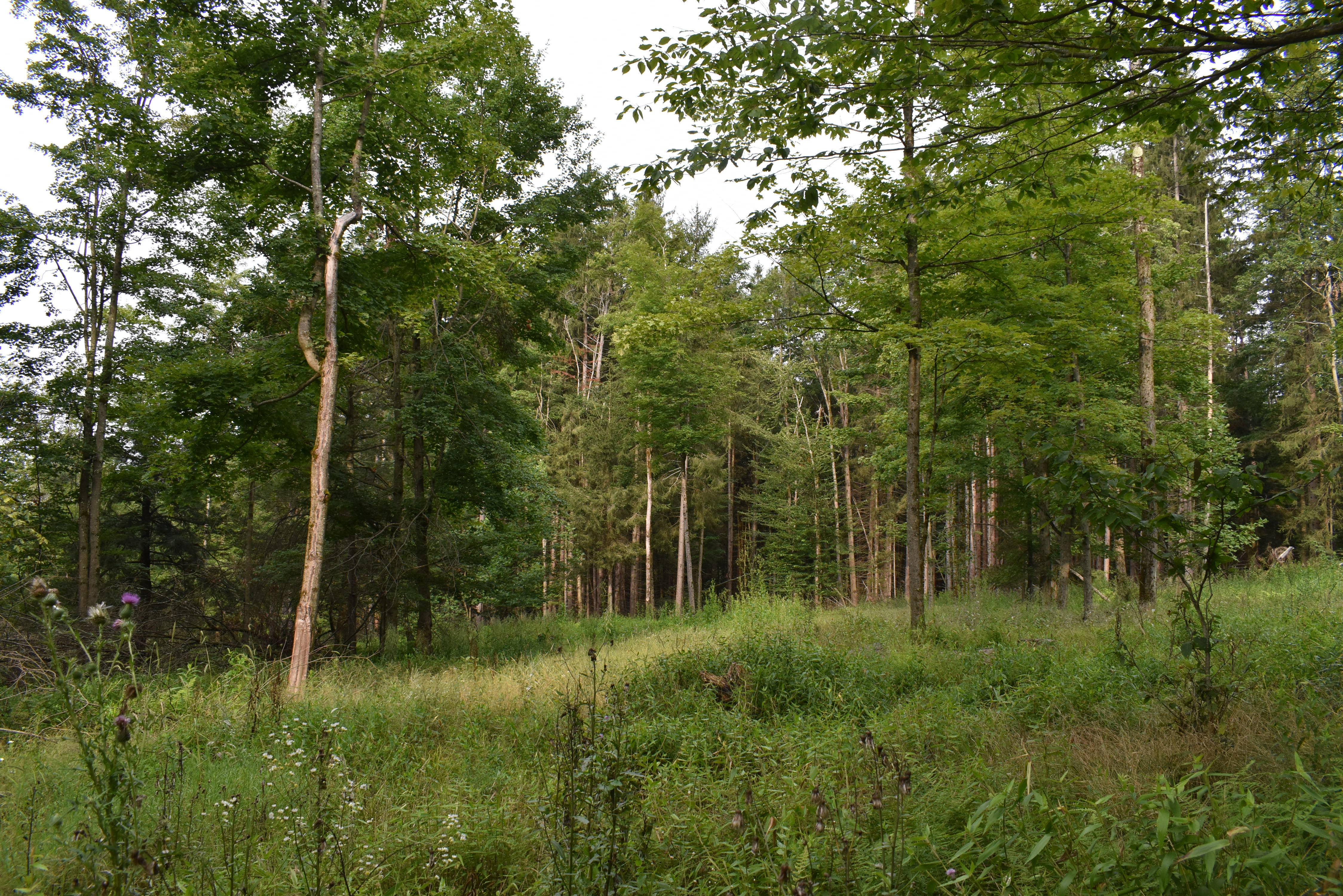 Listing Image 18