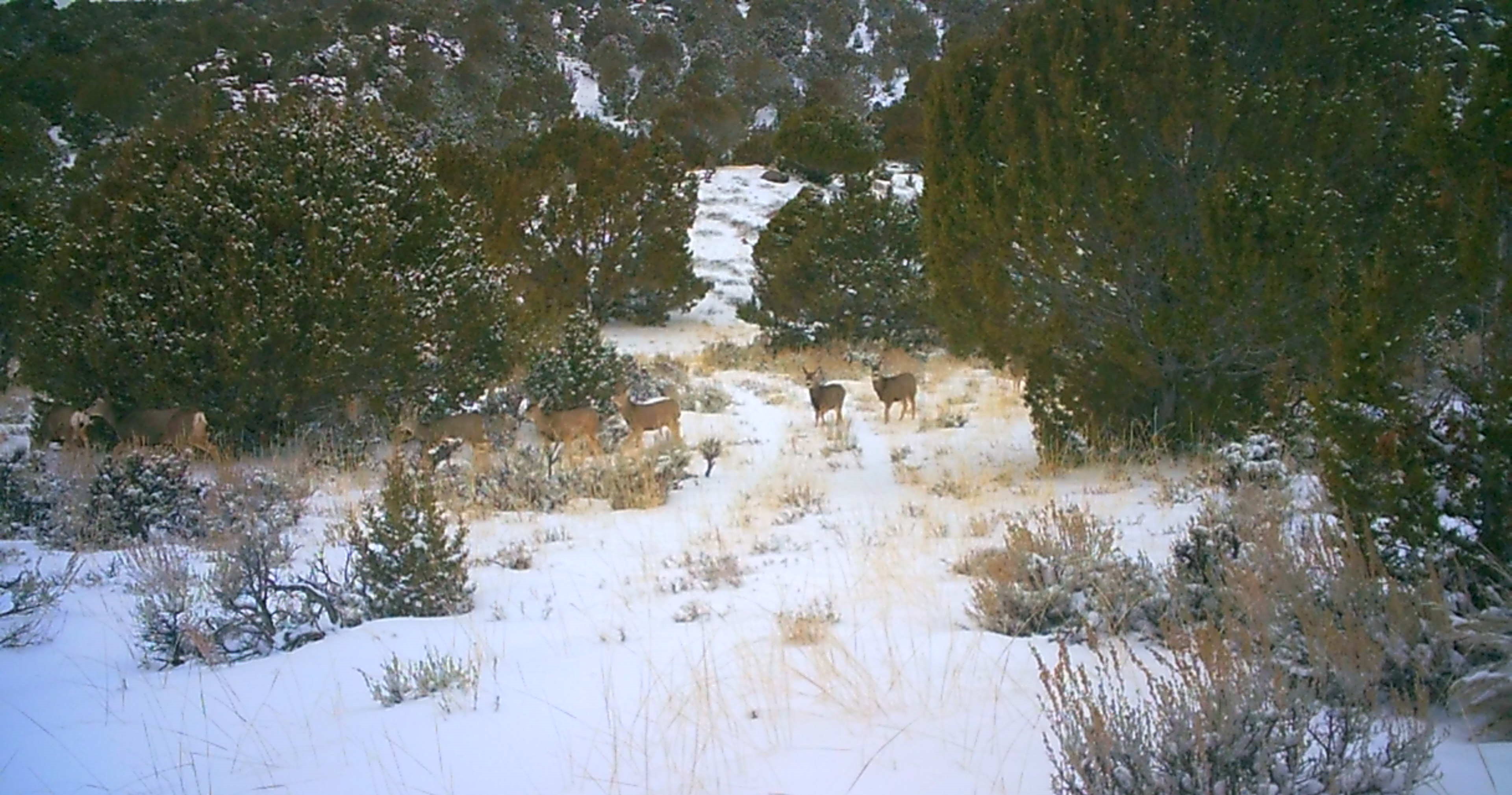 Maybell Grazing & Big Game Ranch