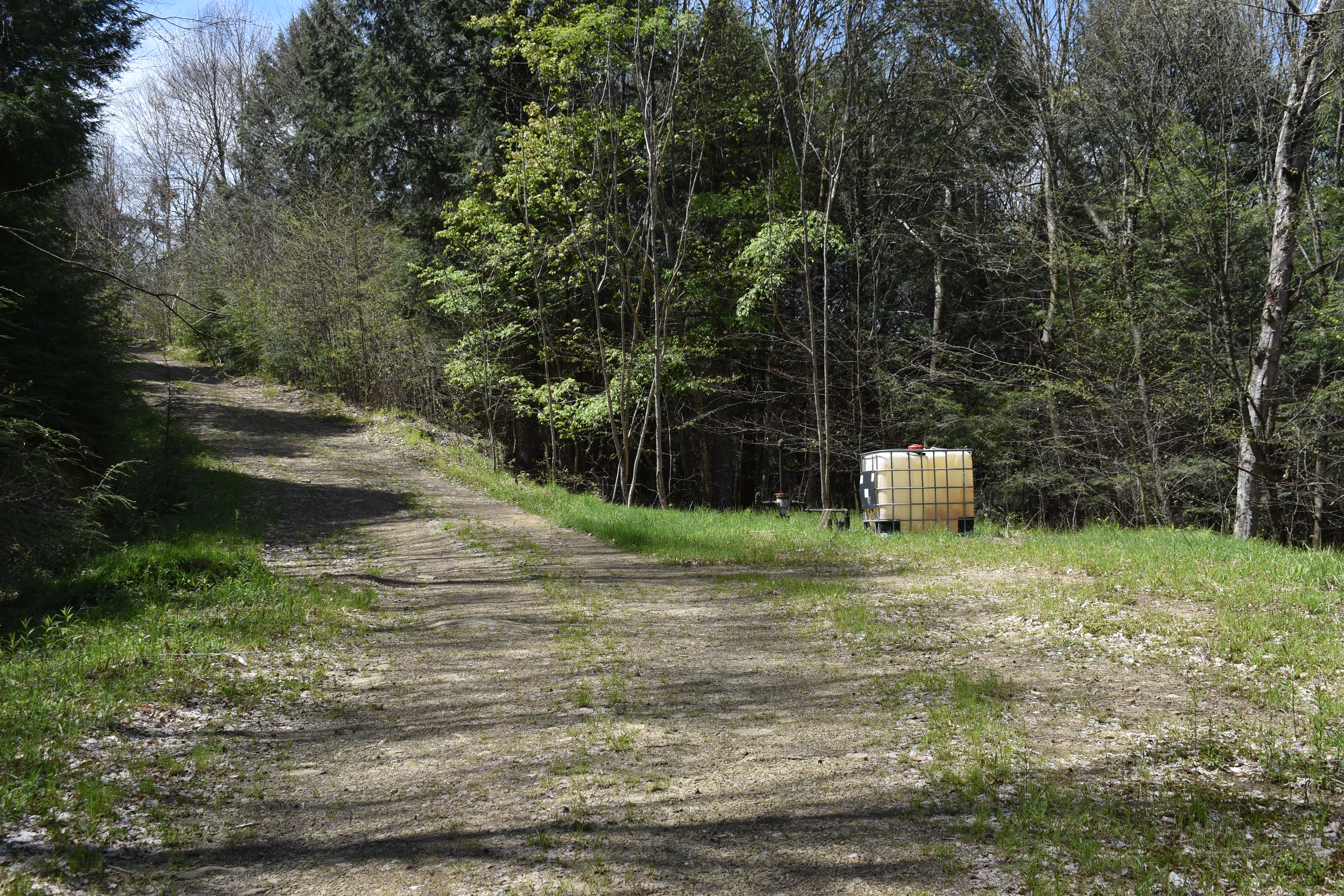 Listing Image 27