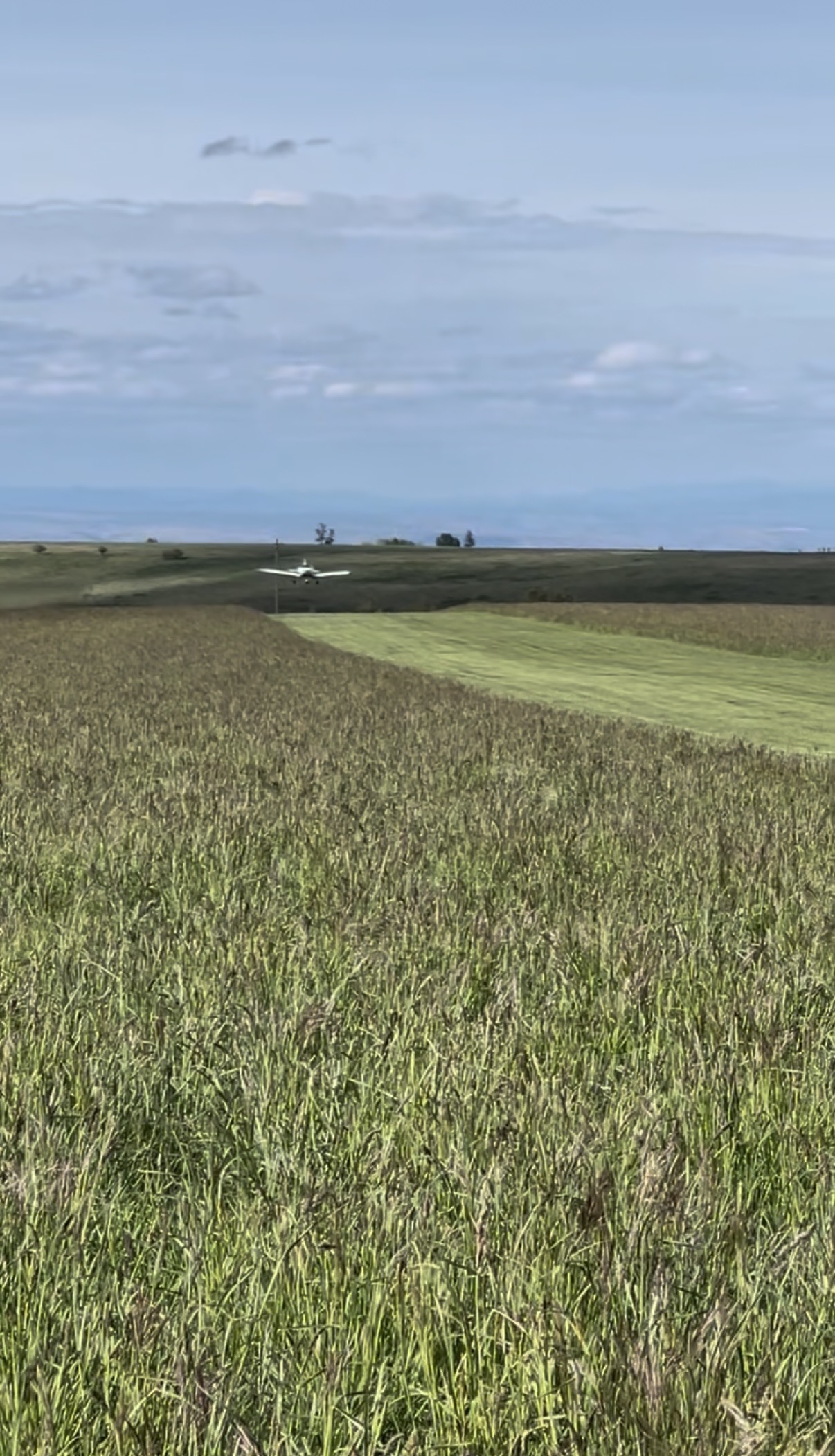 Listing Image 48