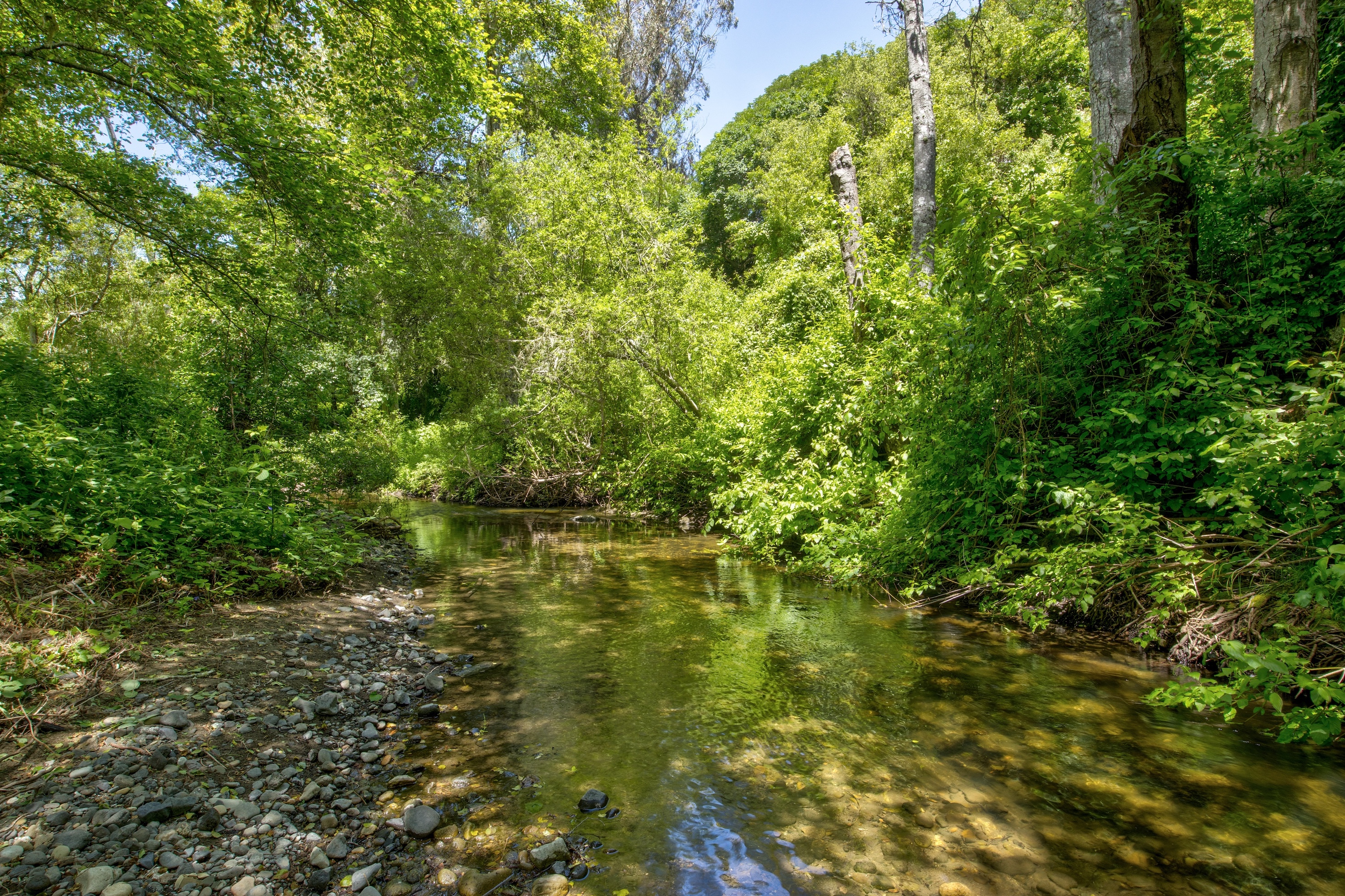 San Gregorio Creekside Farm