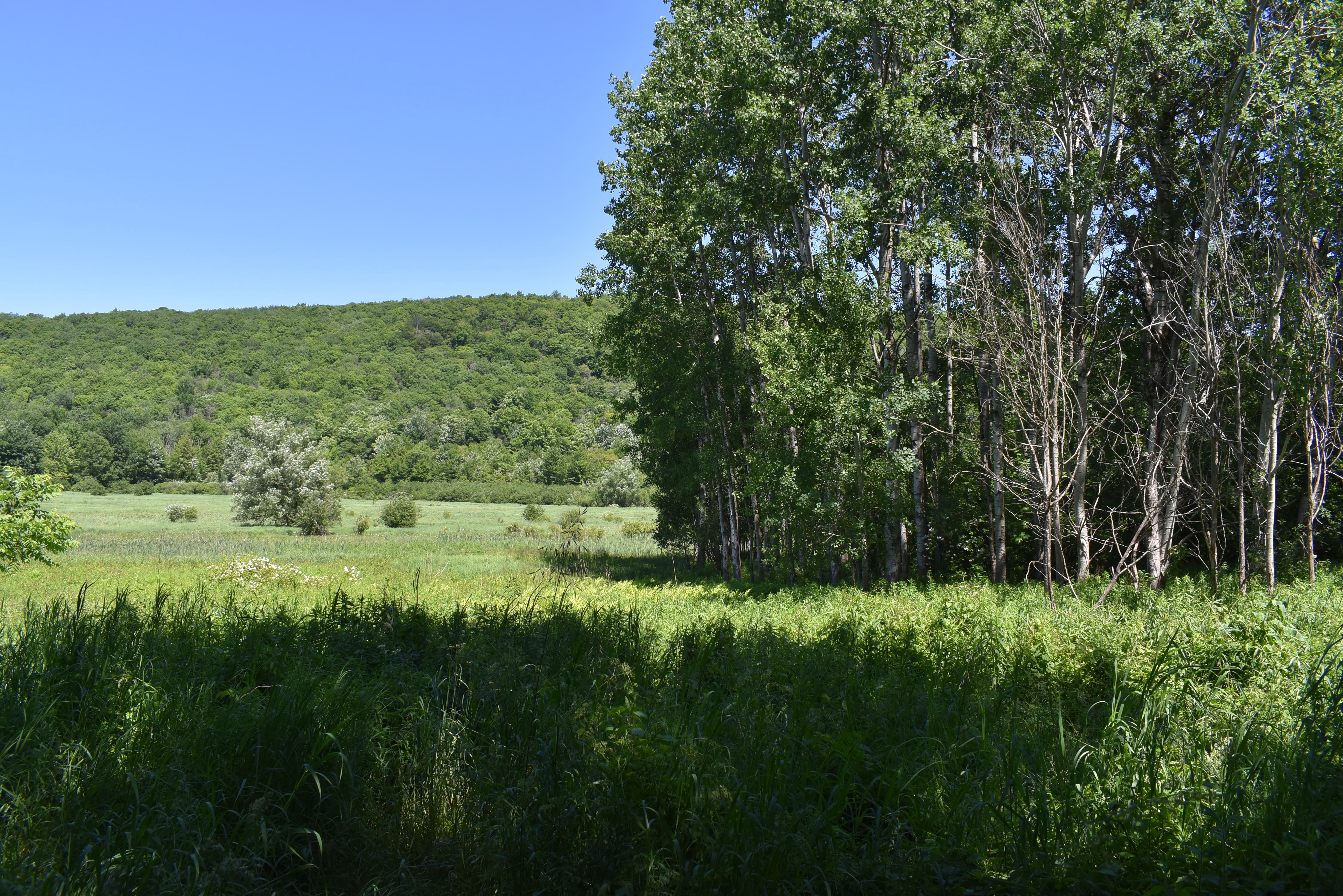Fabulous Farrington Hollow
