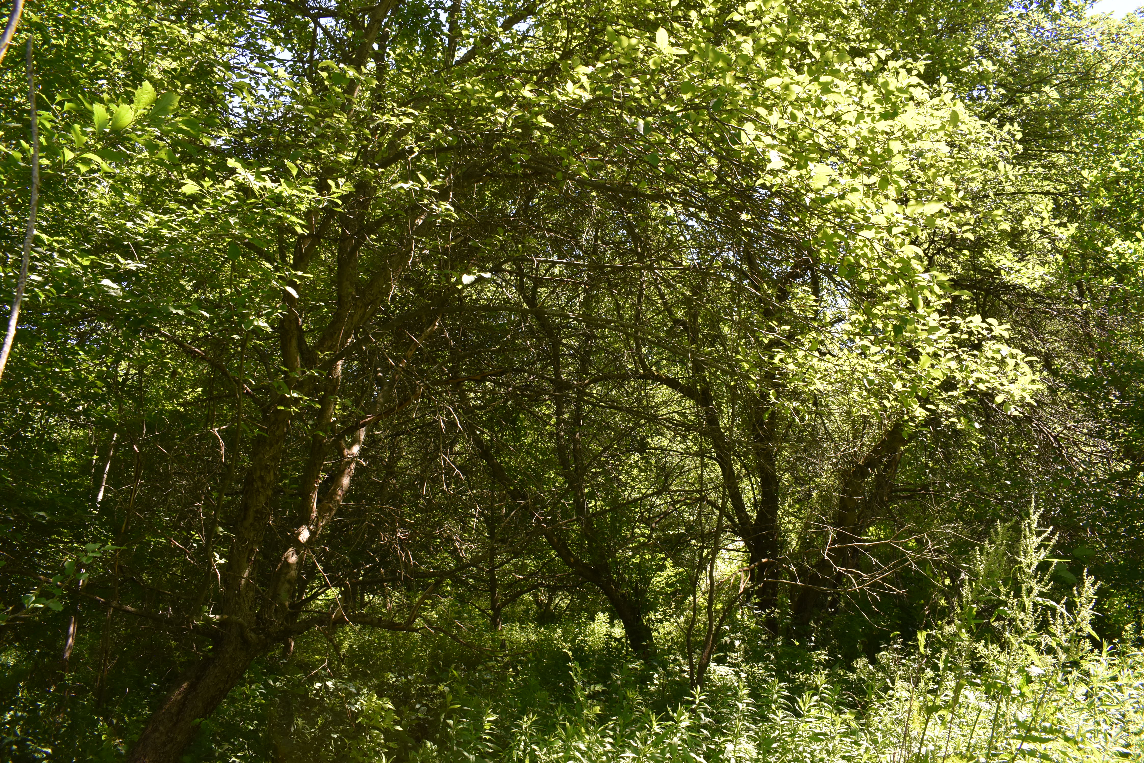 Fabulous Farrington Hollow