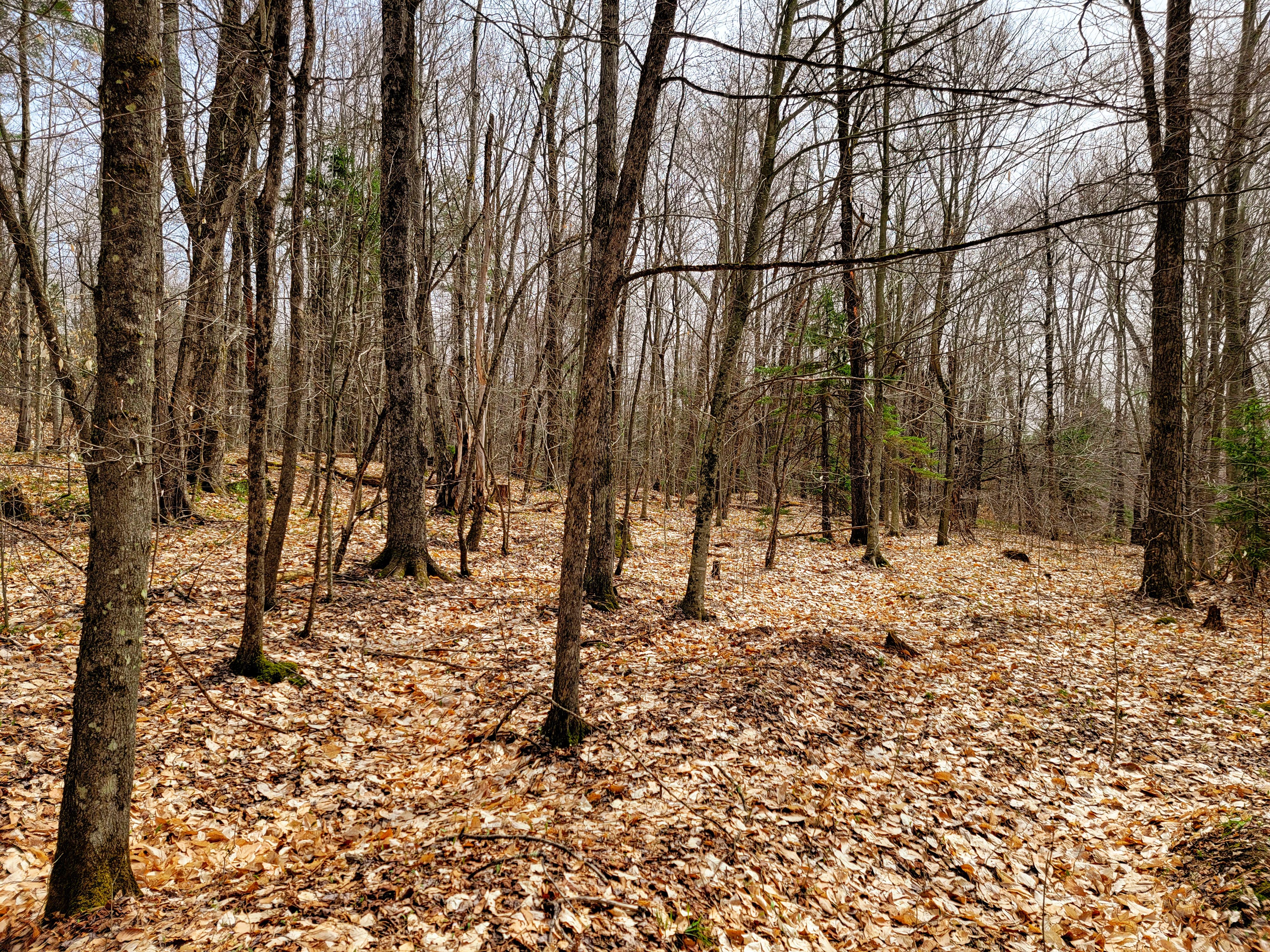 Listing Image 45