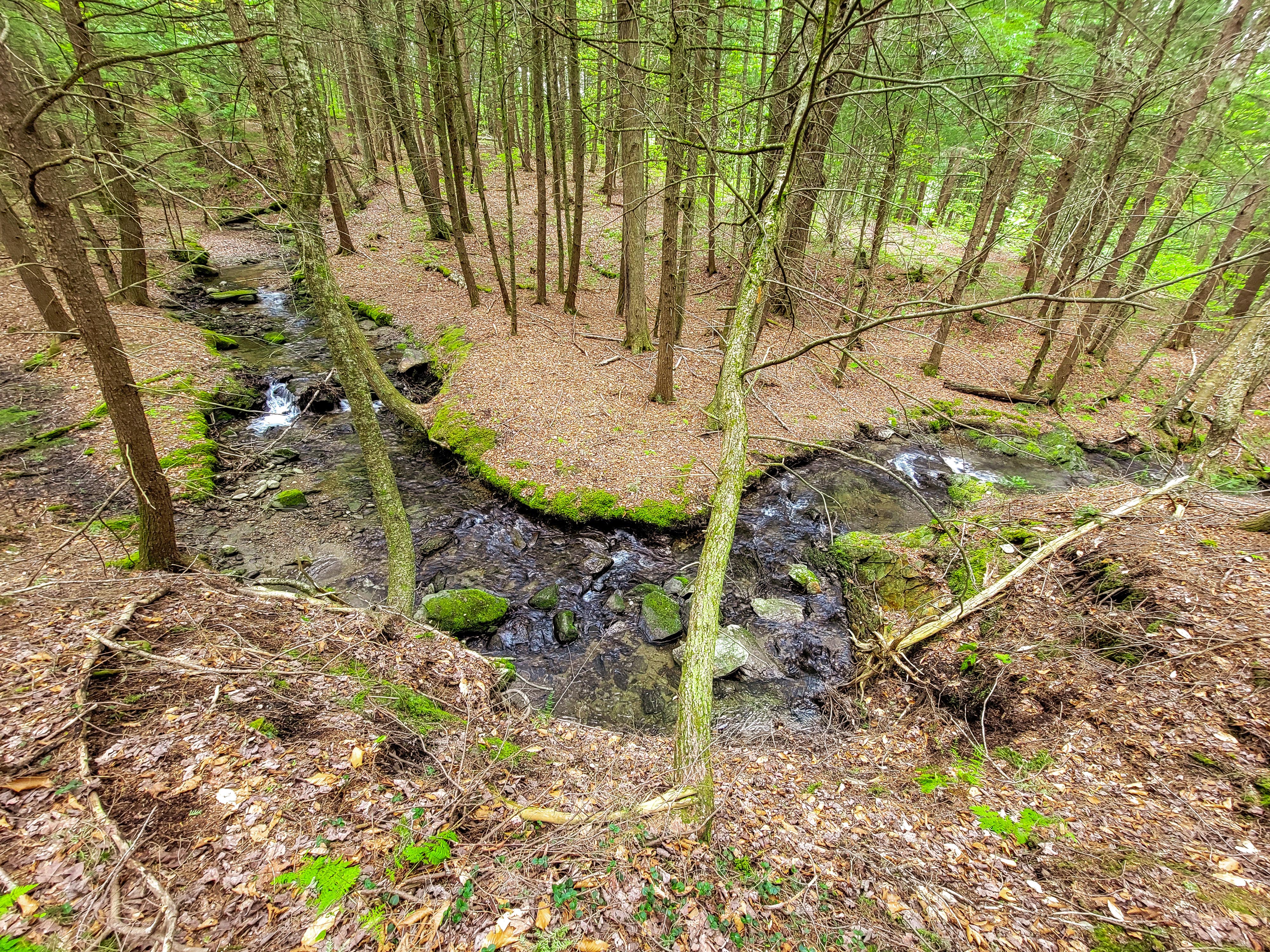 Listing Image 49